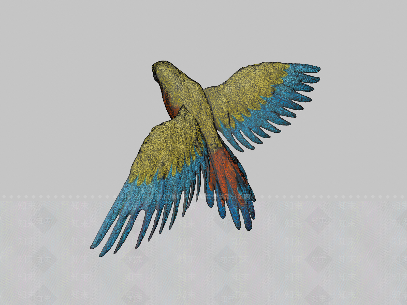 其他动物3D模型下载【ID:1196765197】