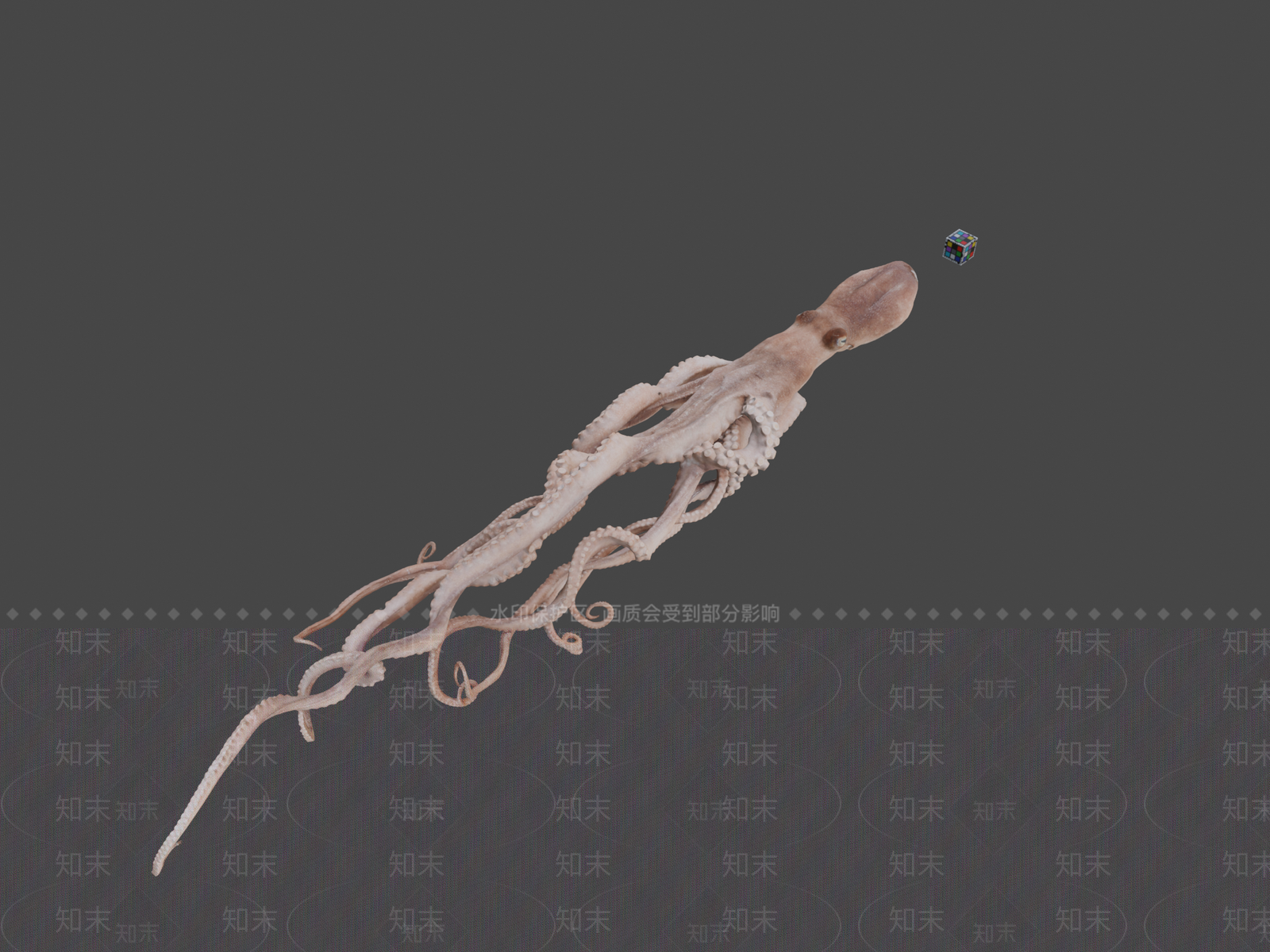 其他动物3D模型下载【ID:1196765203】