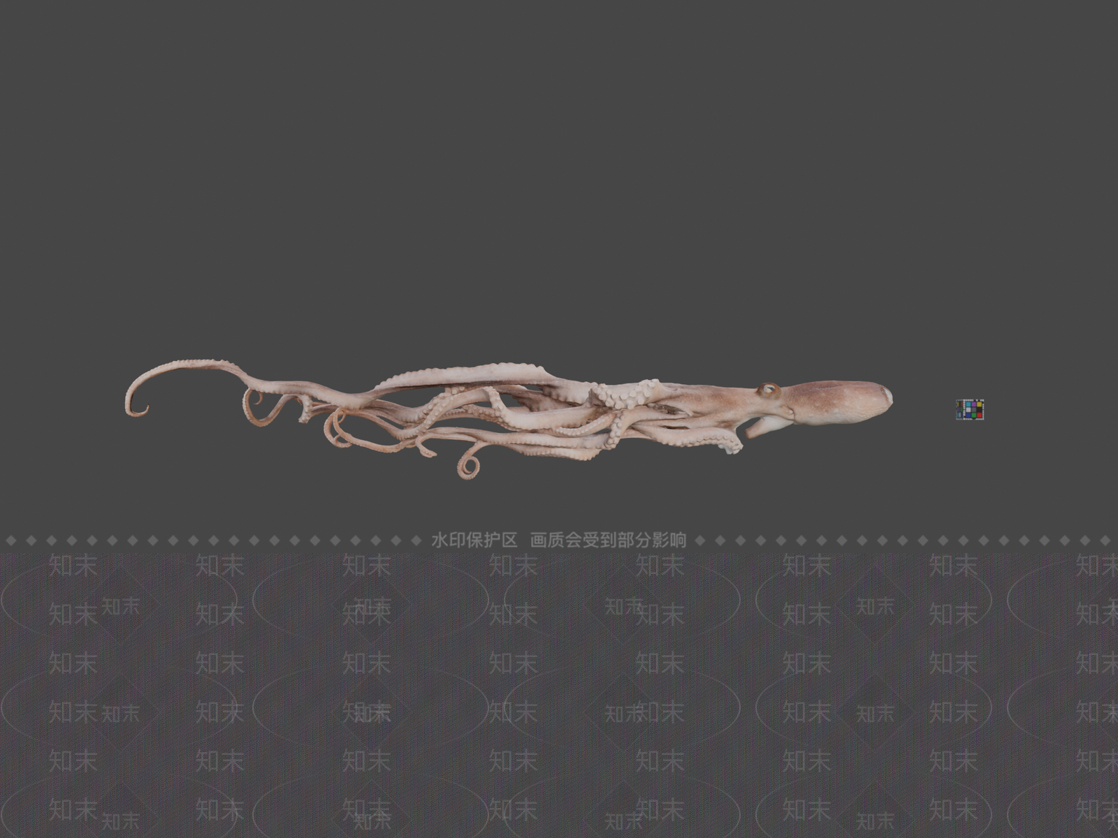 其他动物3D模型下载【ID:1196765203】