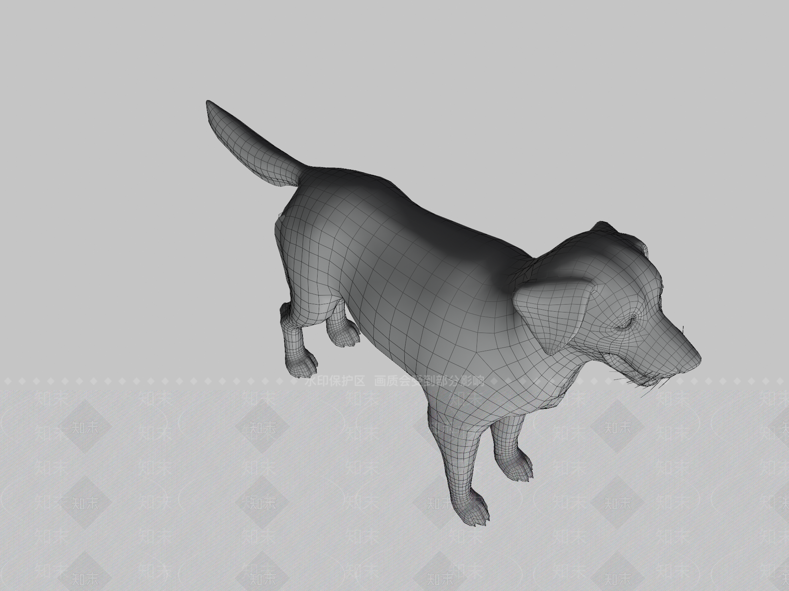其他动物3D模型下载【ID:1196767937】