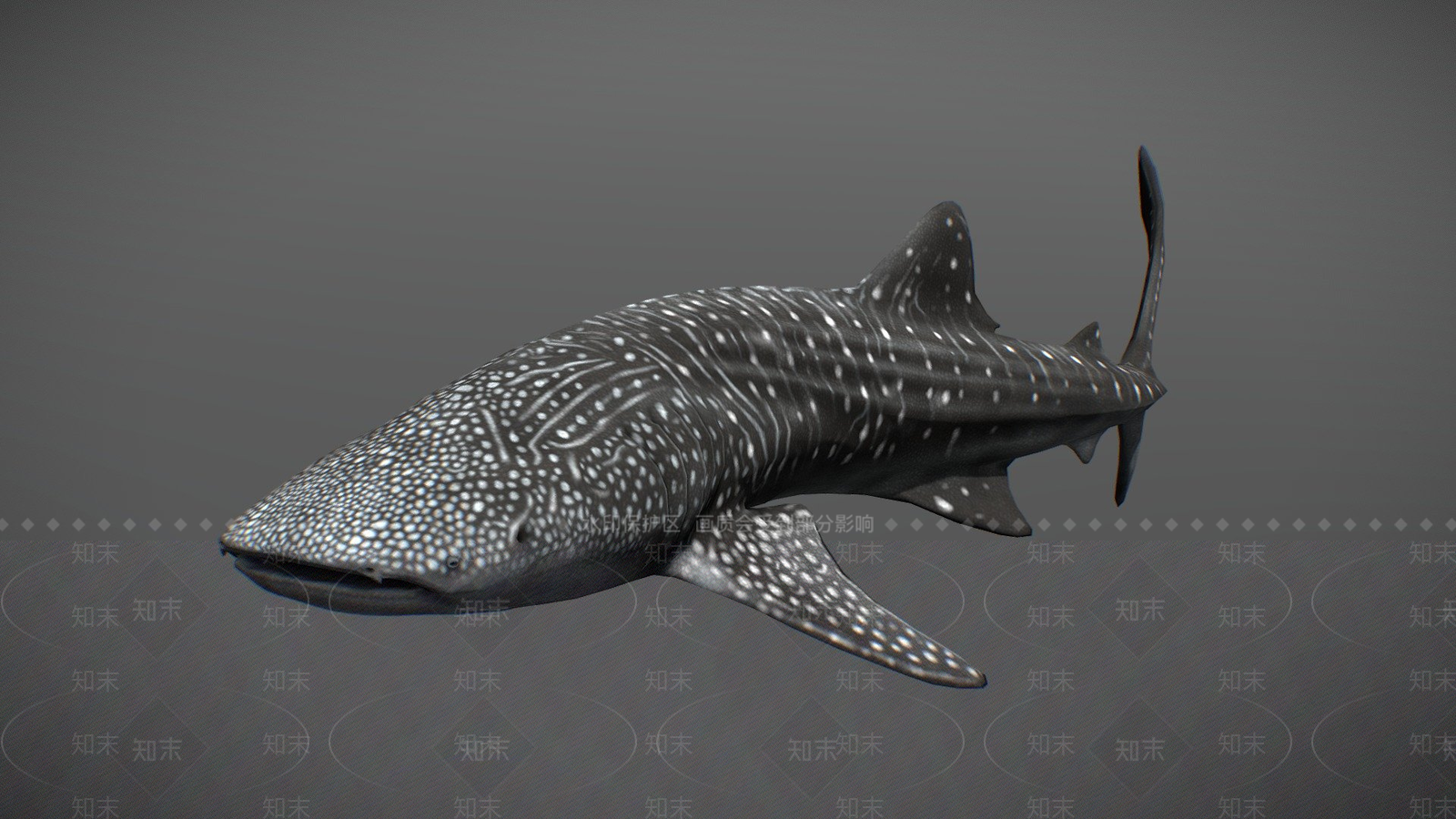 水生类动物3D模型下载【ID:1196772609】