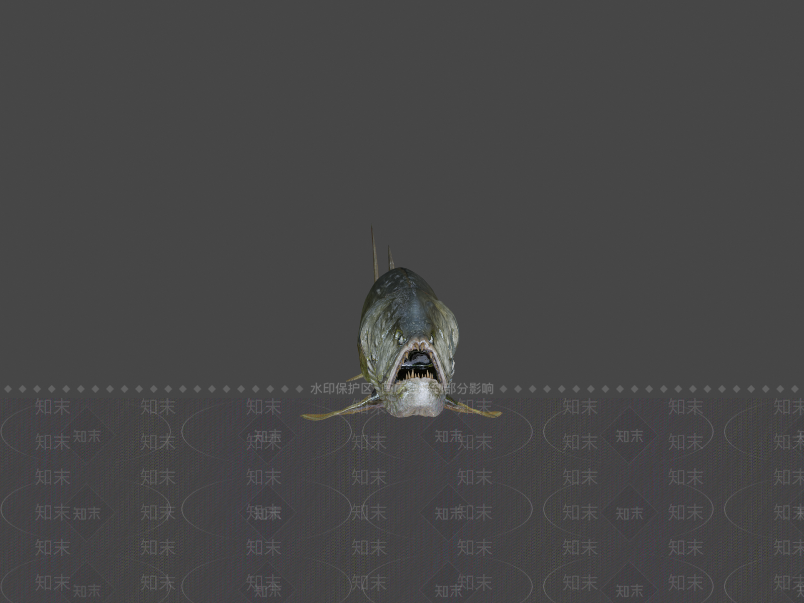 其他动物3D模型下载【ID:1196774645】