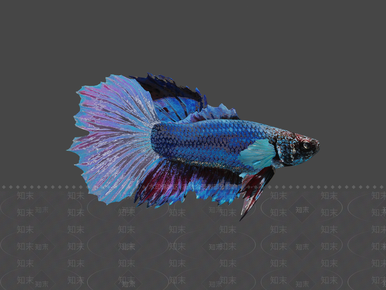 其他动物3D模型下载【ID:1196774898】