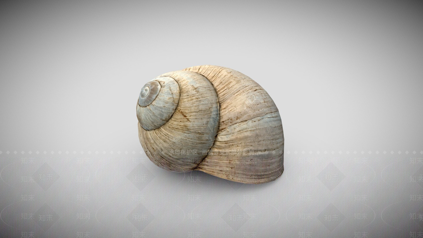 其他动物3D模型下载【ID:1196775102】