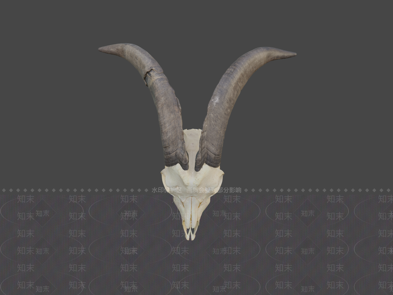 其他动物3D模型下载【ID:1196776223】