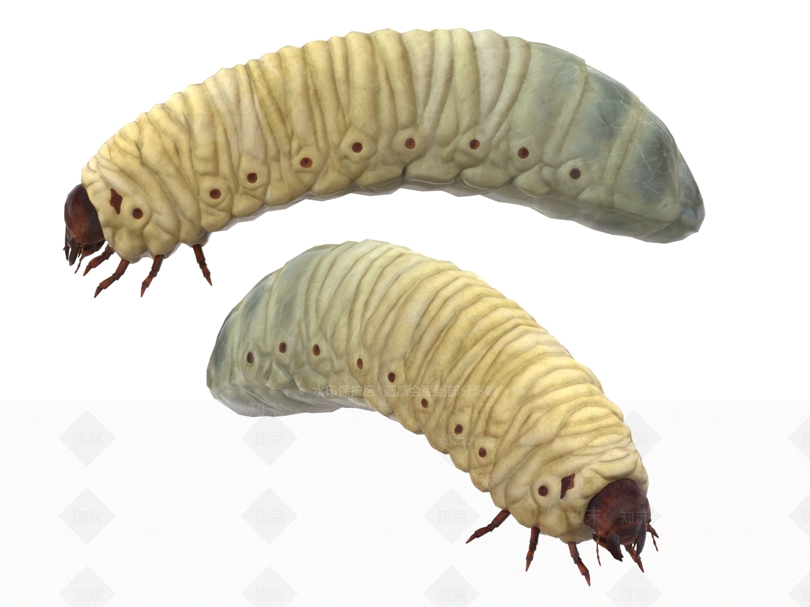 爬行类动物3D模型下载【ID:1196785008】