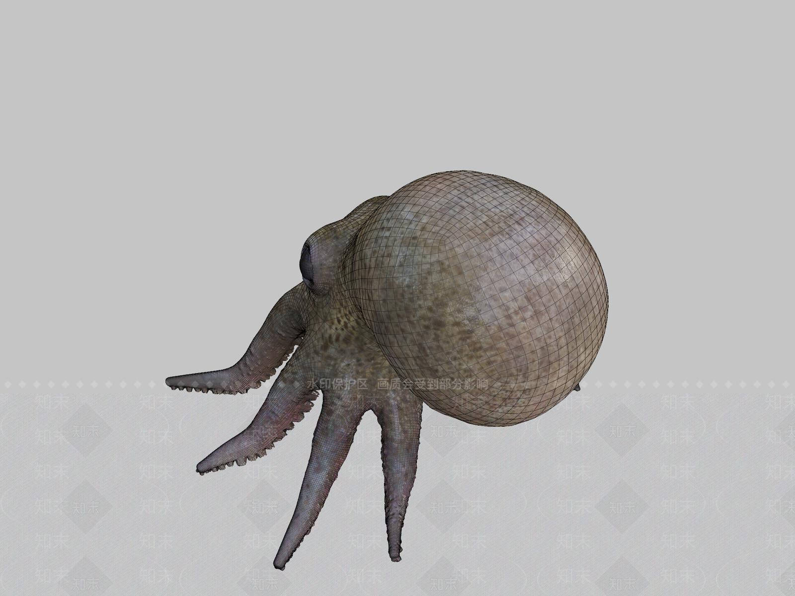 其他动物3D模型下载【ID:1196788279】