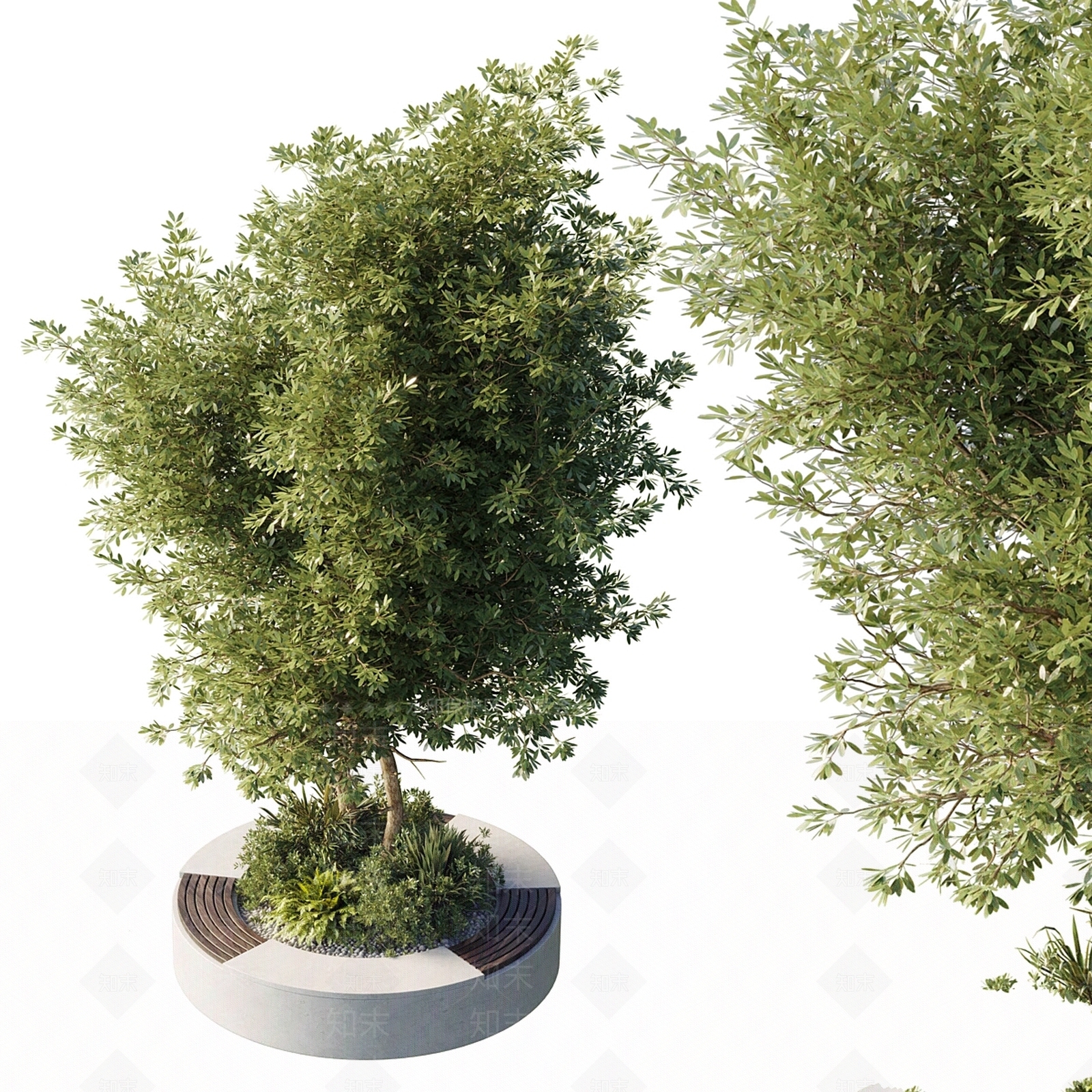 其他绿植3D模型下载【ID:1196791688】