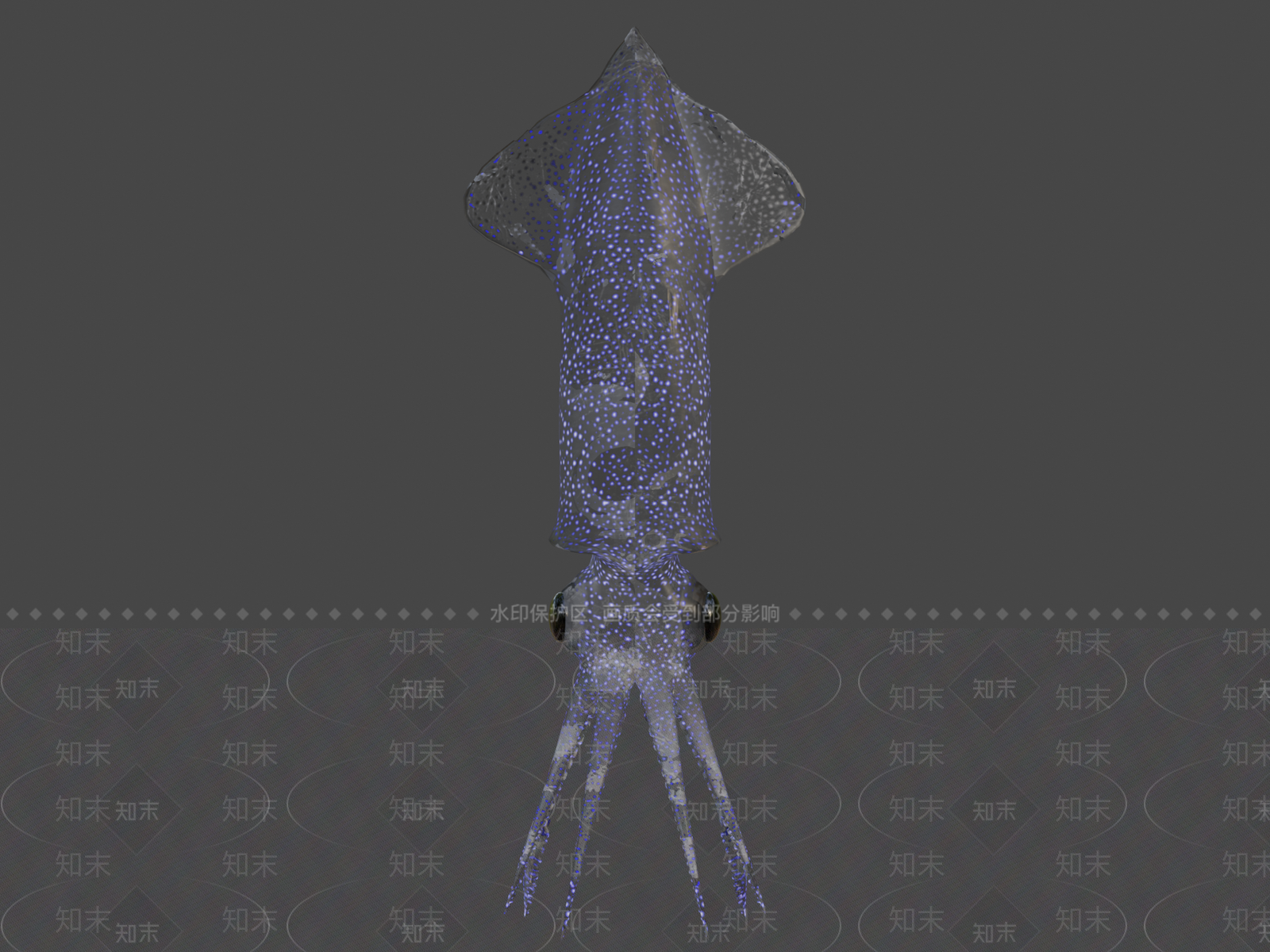 其他动物3D模型下载【ID:1196793888】
