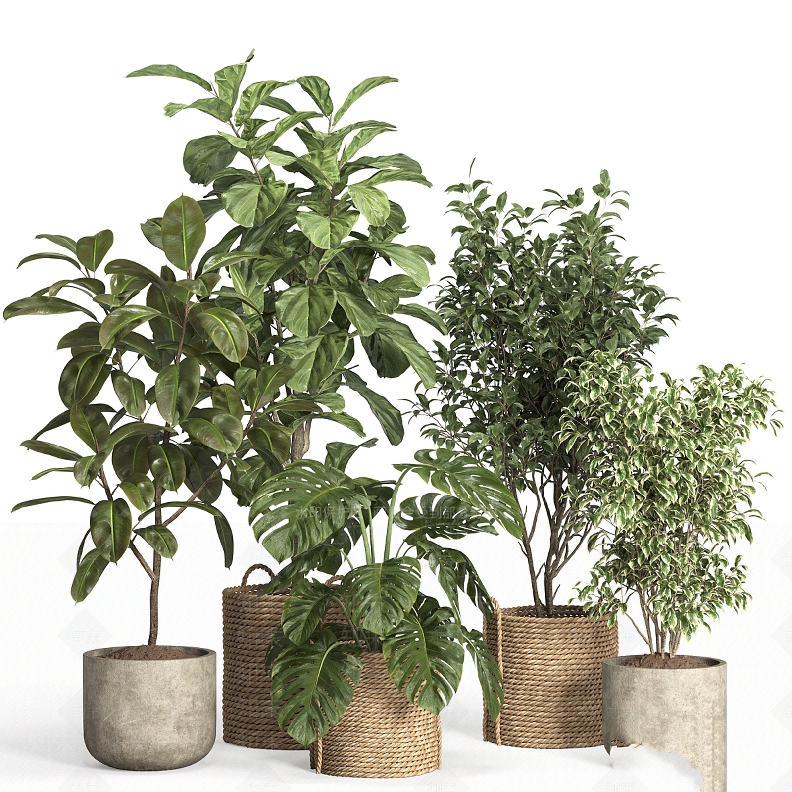 盆栽3D模型下载【ID:1196800193】