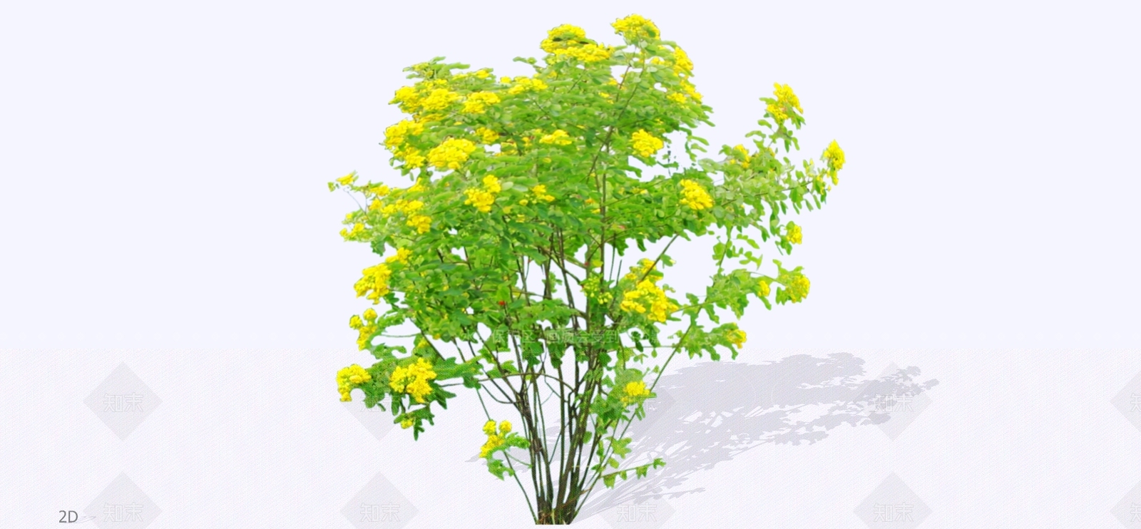 灌木SU模型下载【ID:1196808194】