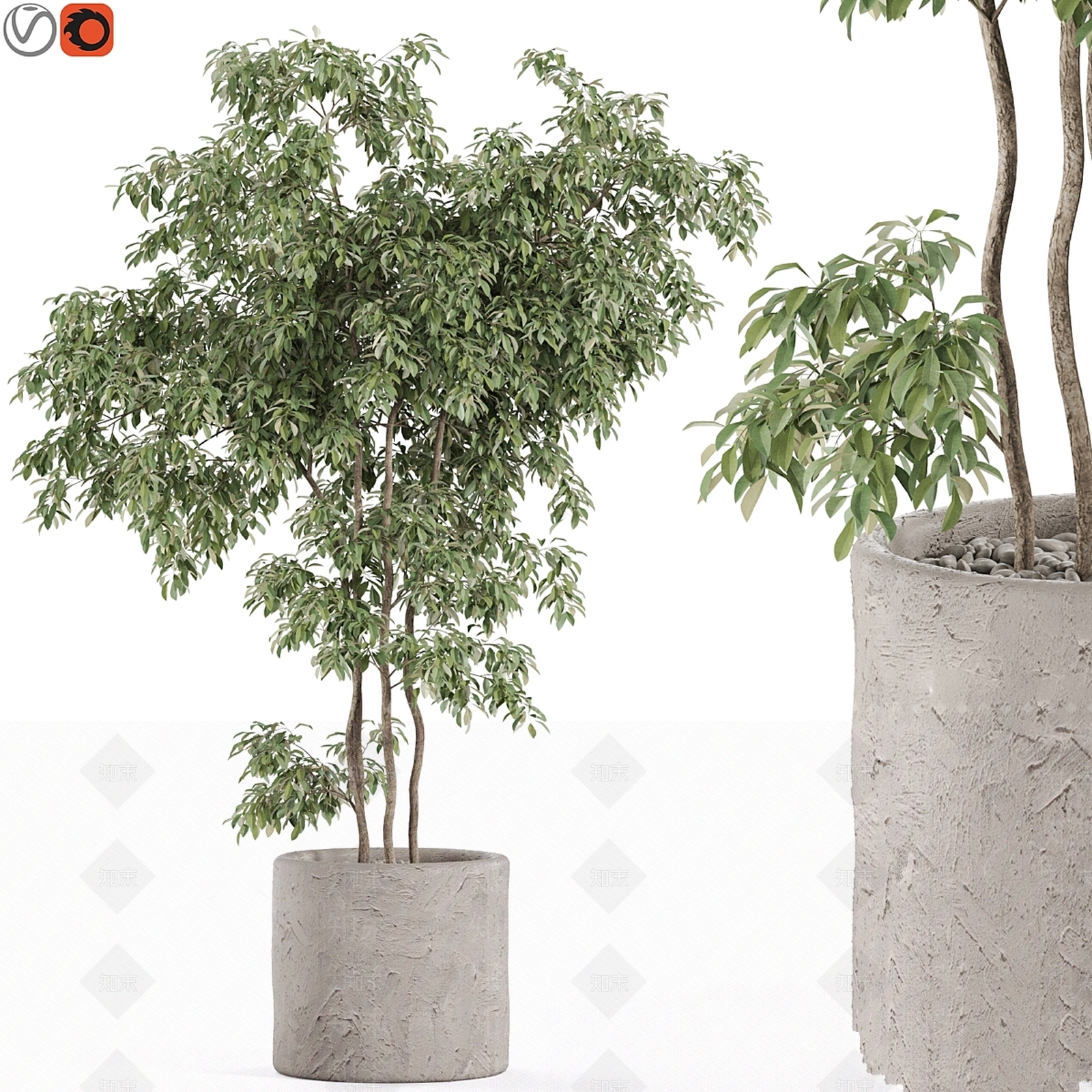 盆栽3D模型下载【ID:1196808218】