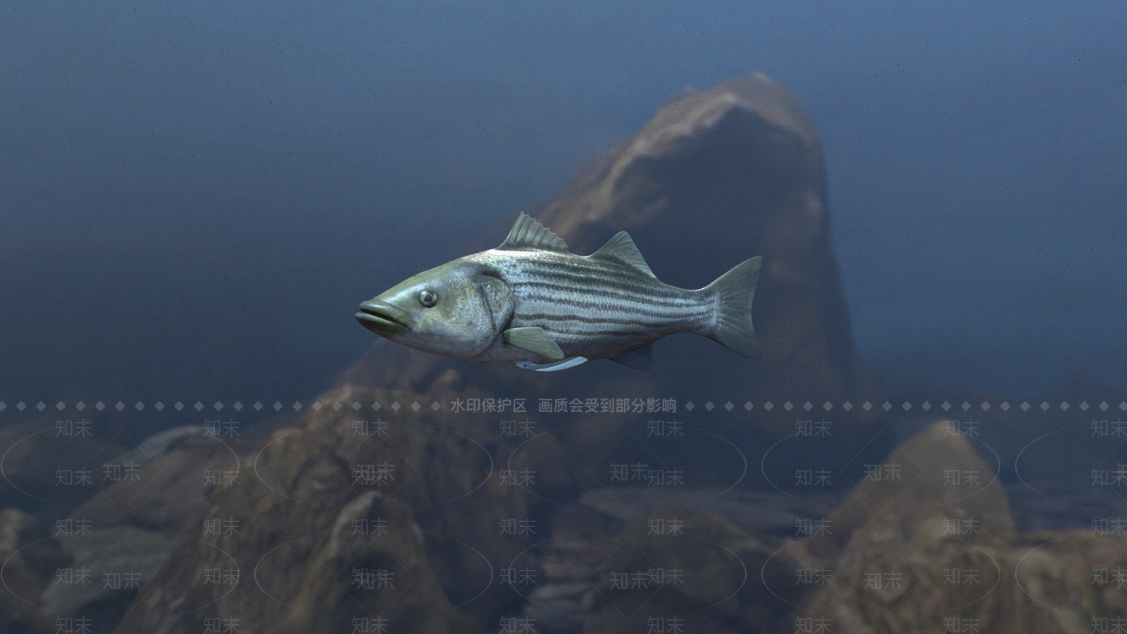 其他动物3D模型下载【ID:1196816531】