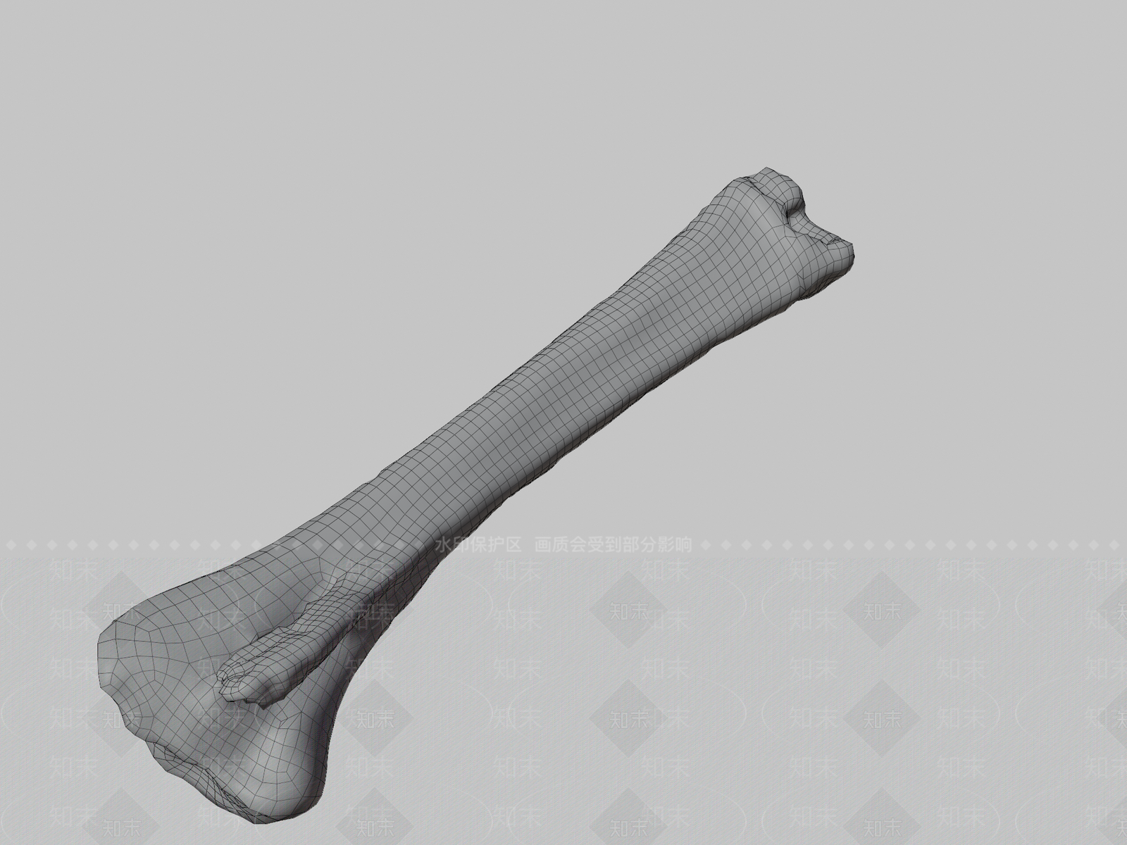 其他动物3D模型下载【ID:1196818704】