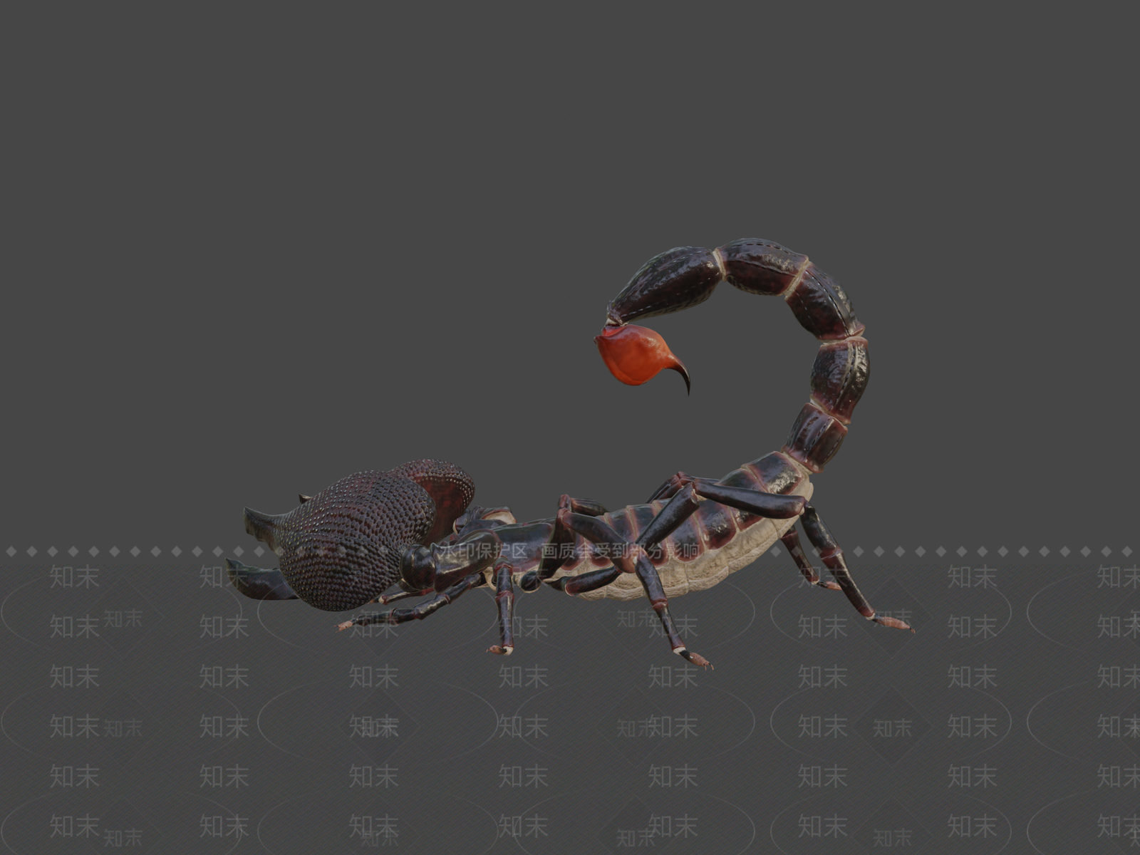 其他动物3D模型下载【ID:1196820499】
