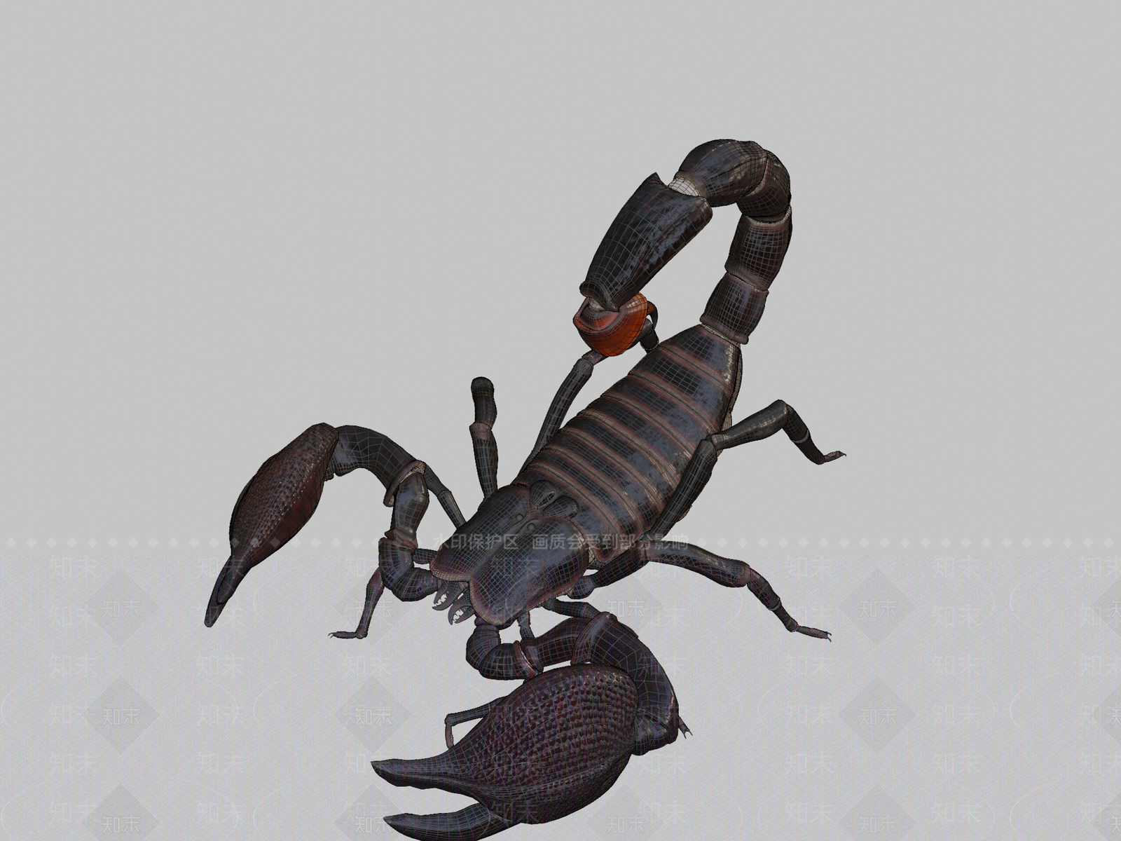 其他动物3D模型下载【ID:1196820499】