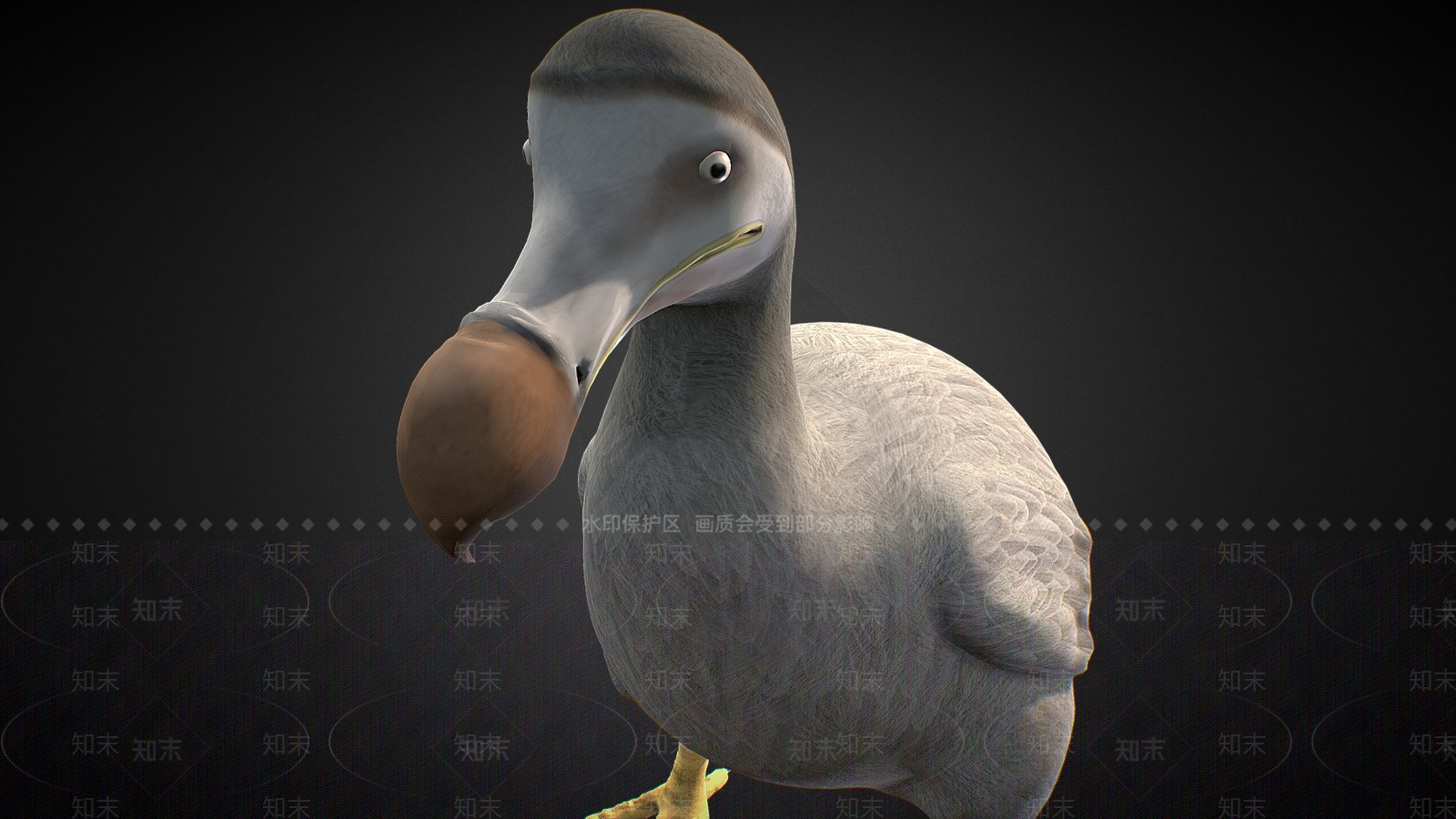 其他动物3D模型下载【ID:1196824988】
