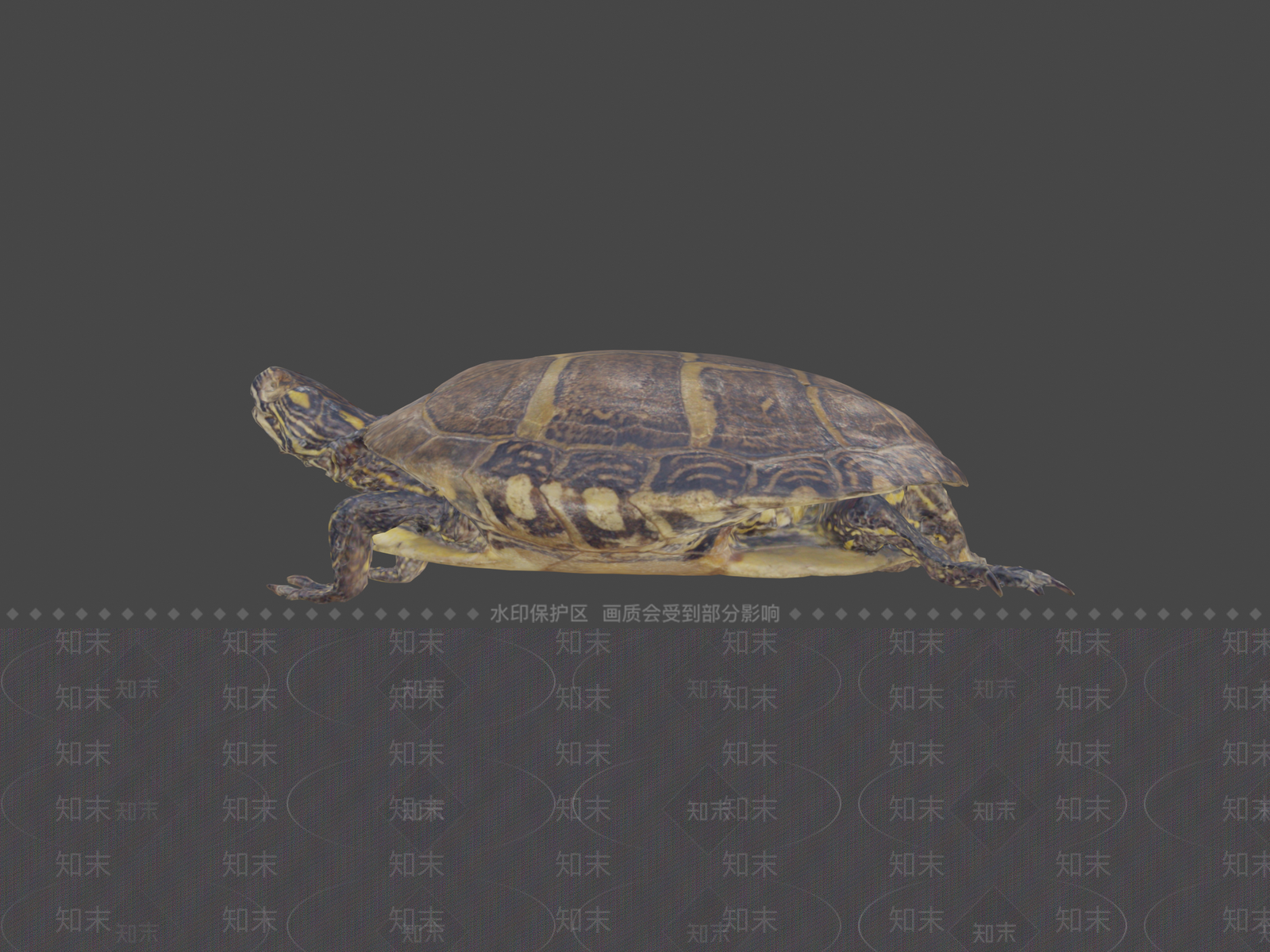 其他动物3D模型下载【ID:1196827442】
