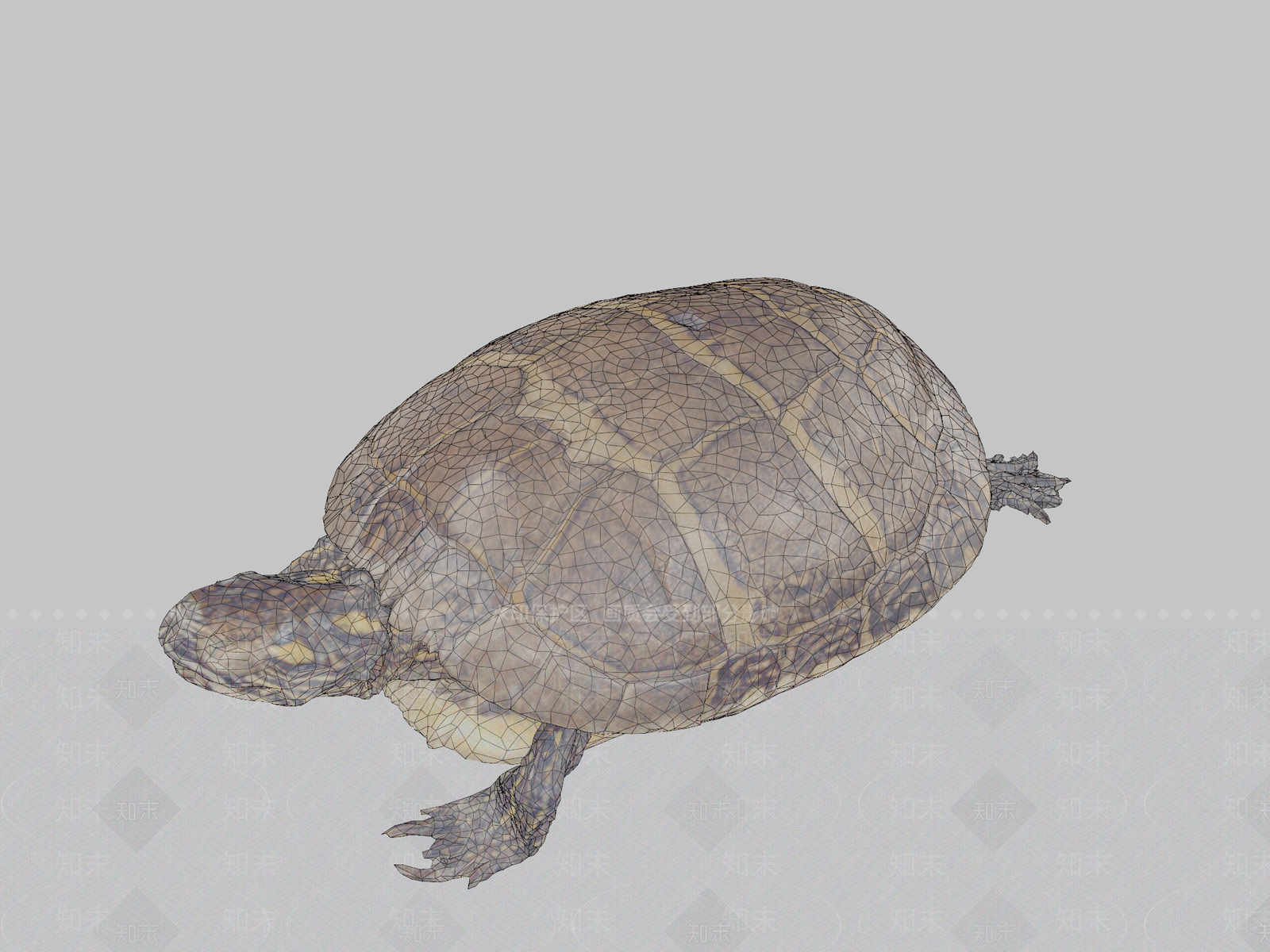 其他动物3D模型下载【ID:1196827442】