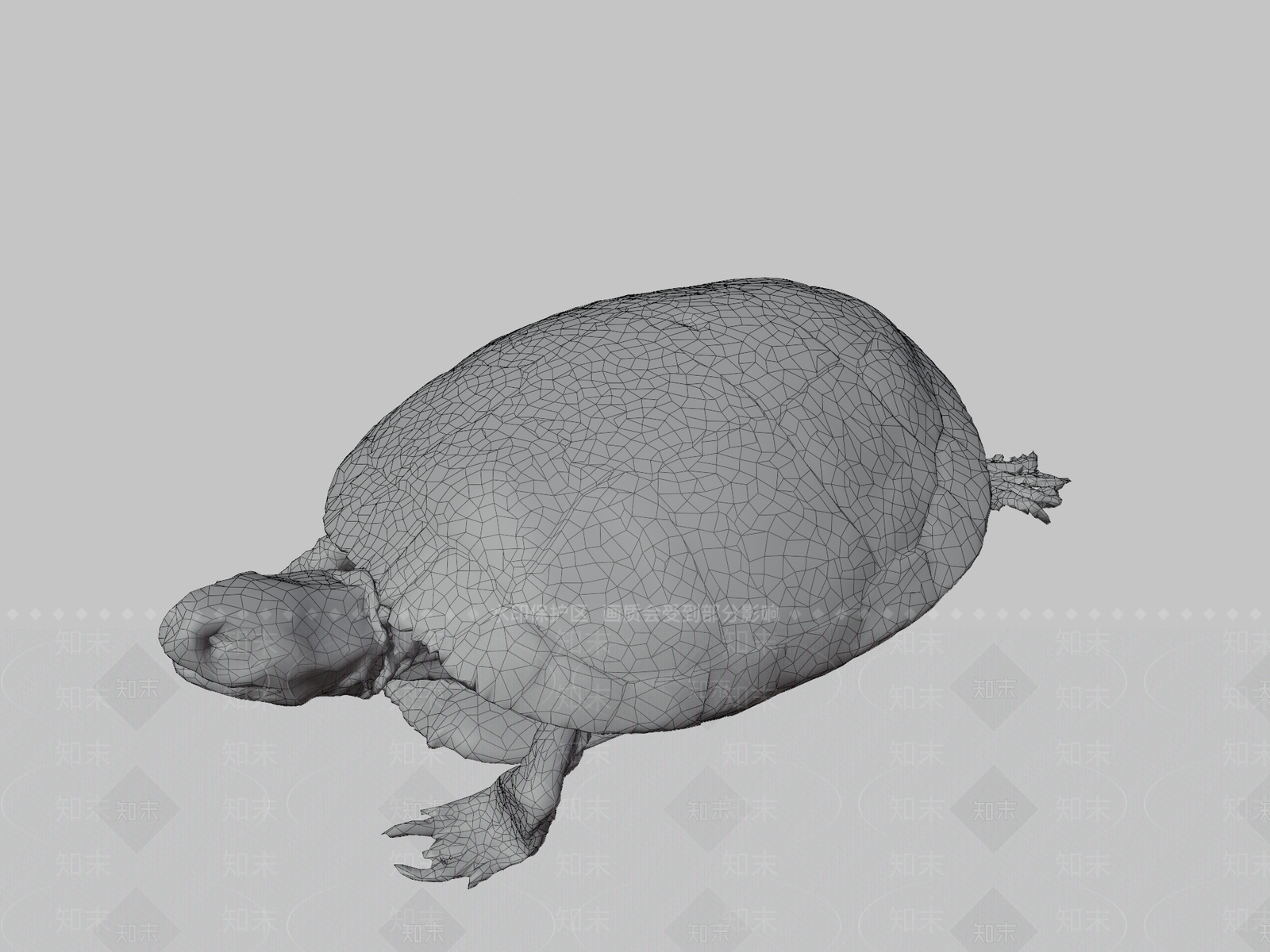 其他动物3D模型下载【ID:1196827442】