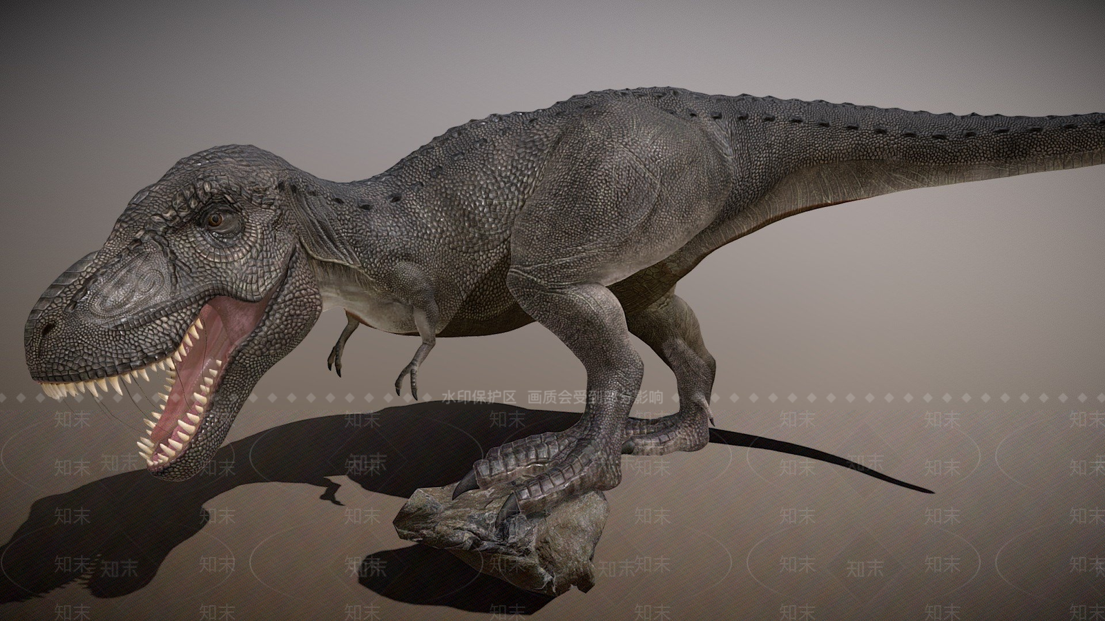 其他动物3D模型下载【ID:1196829681】