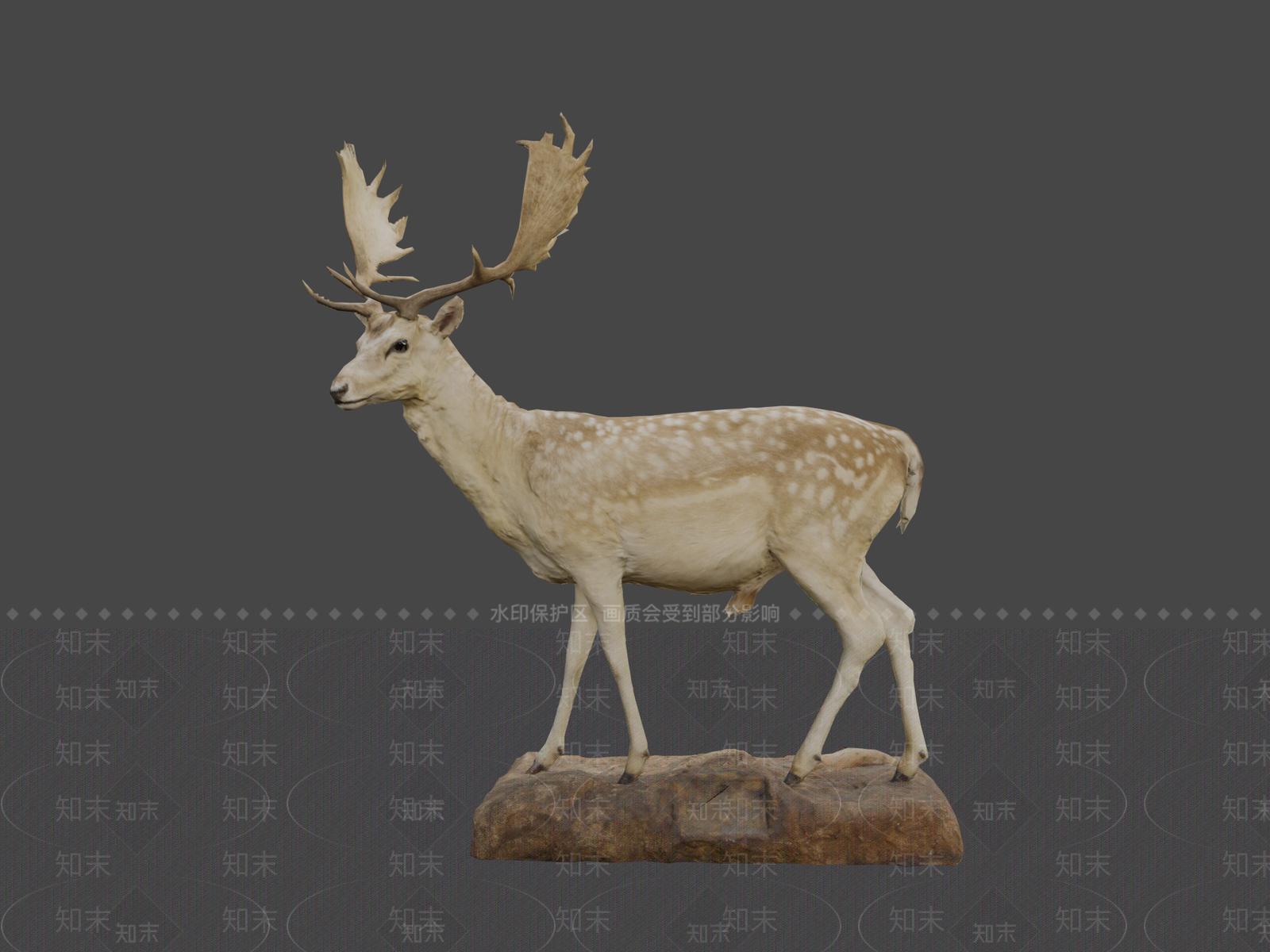 其他动物3D模型下载【ID:1196839293】