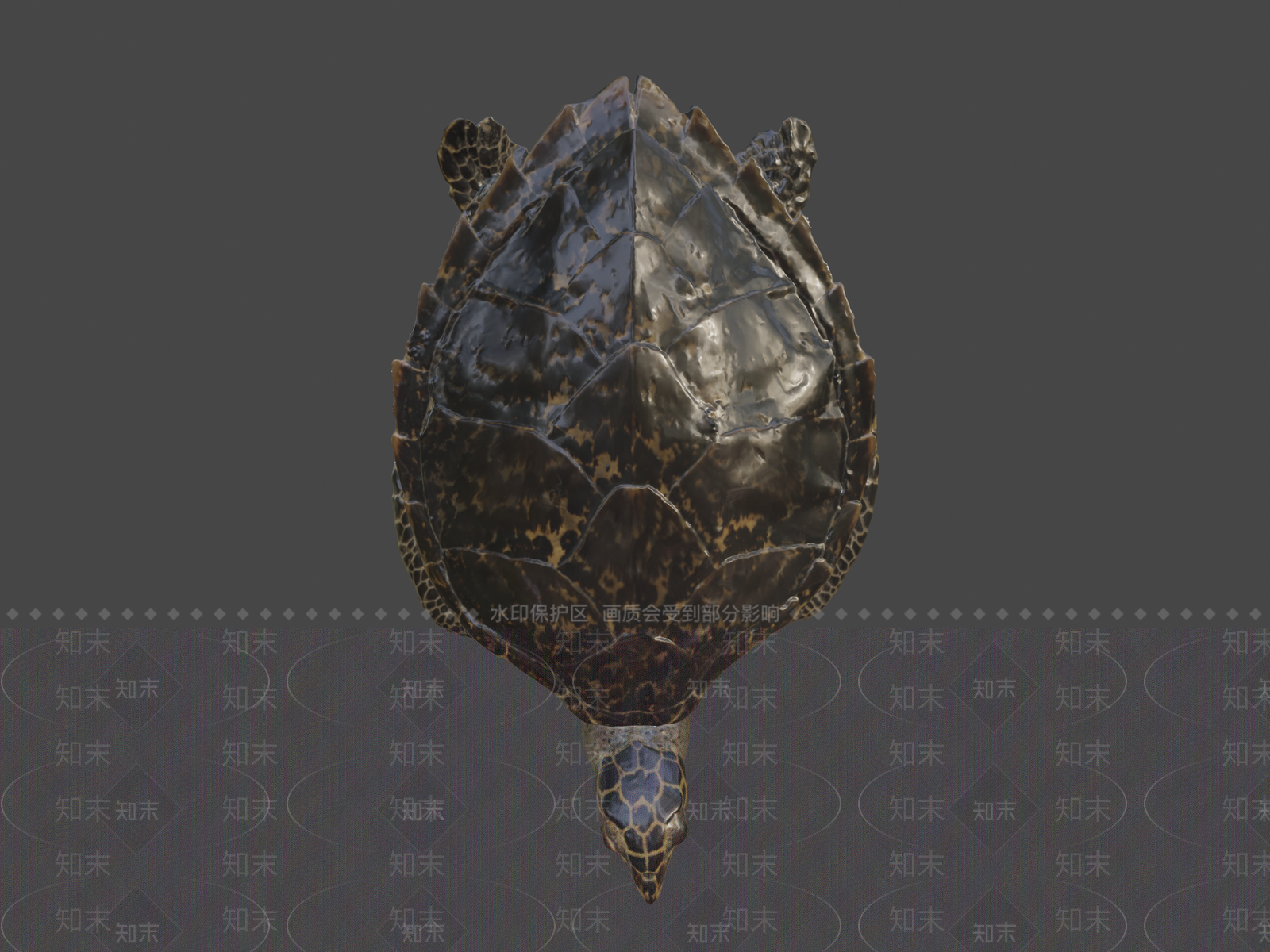 其他动物3D模型下载【ID:1196845270】
