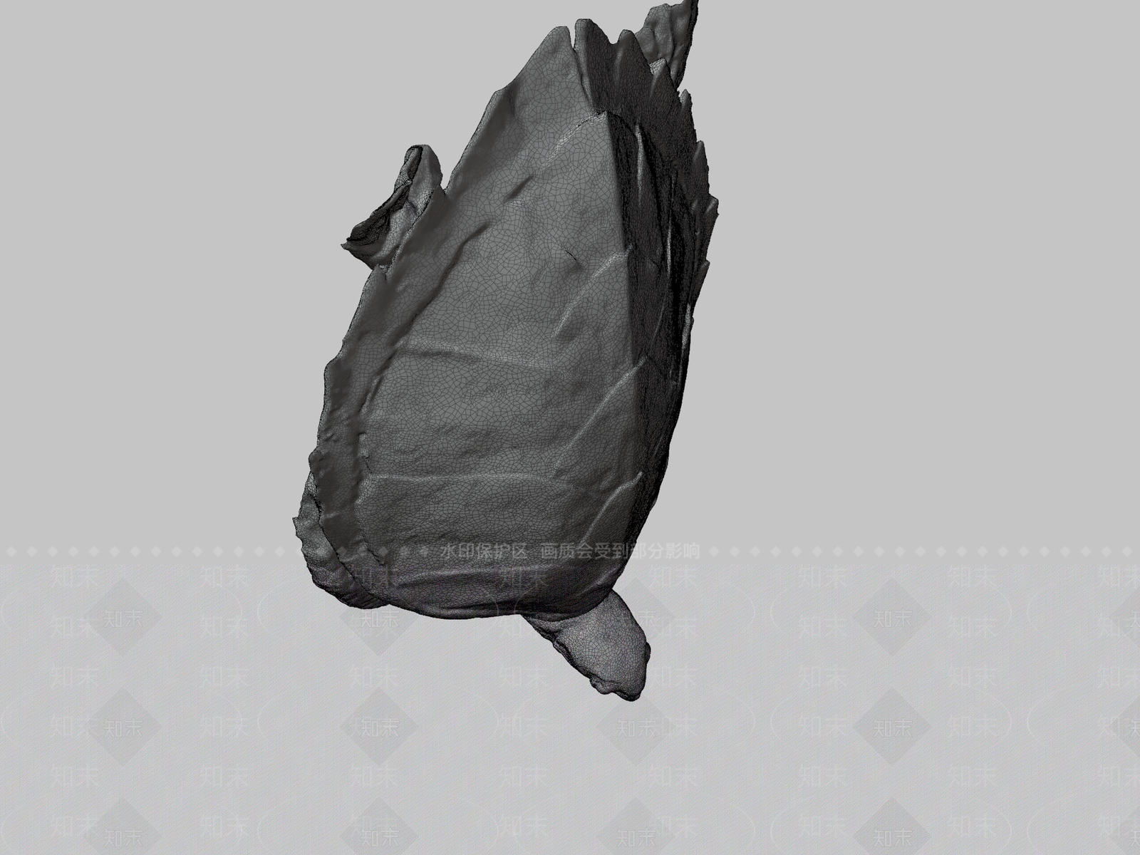 其他动物3D模型下载【ID:1196845270】