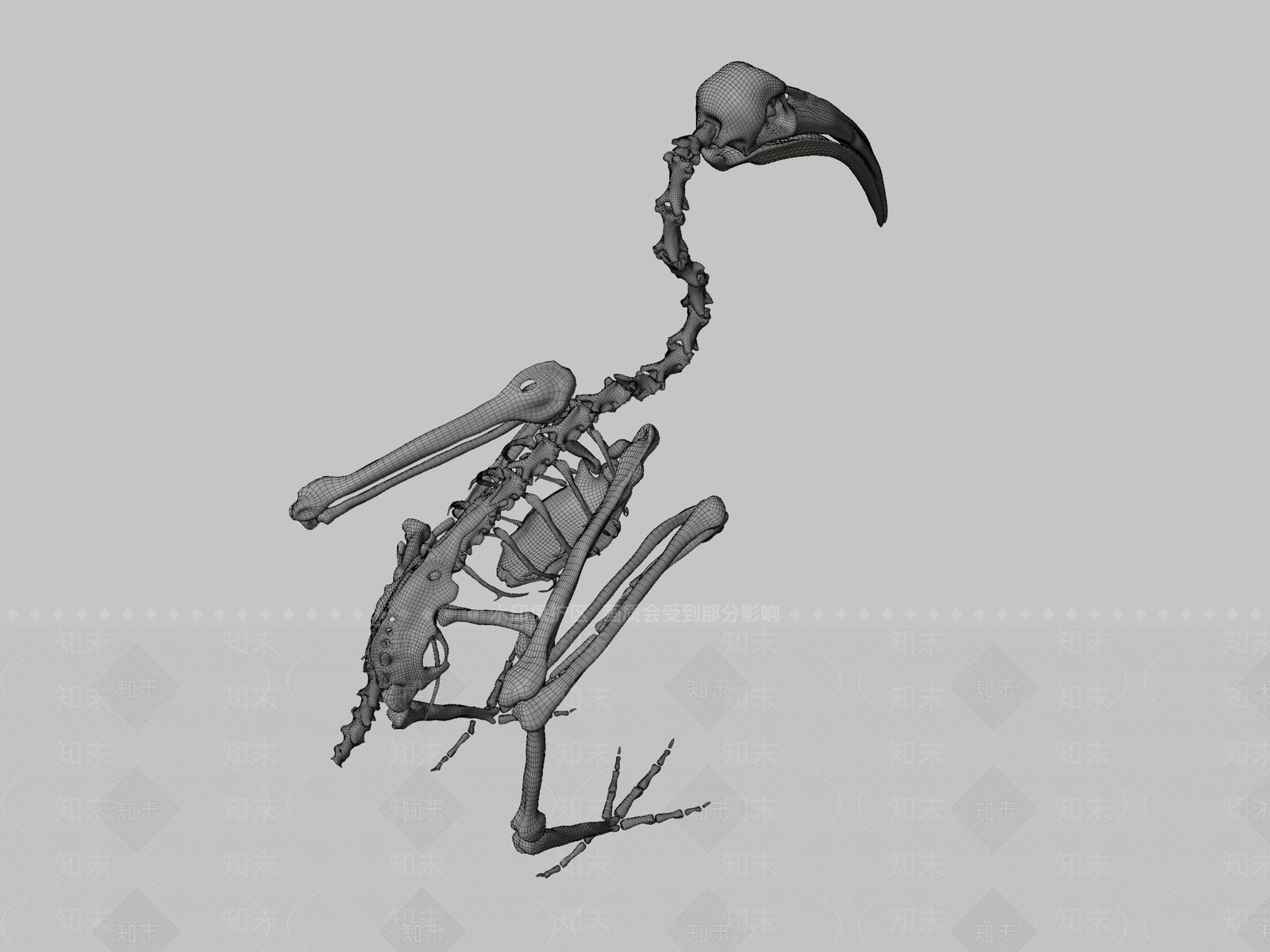 其他动物3D模型下载【ID:1196845551】