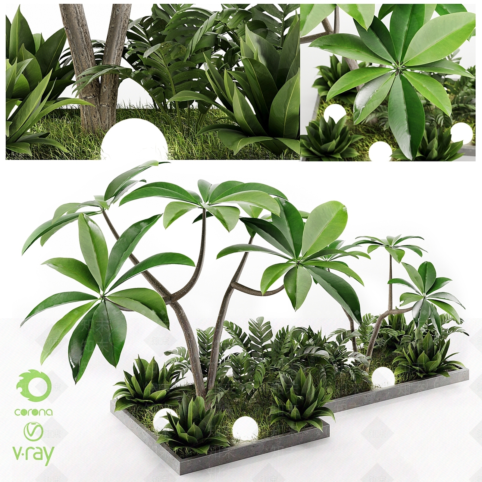 其他绿植3D模型下载【ID:1196845884】