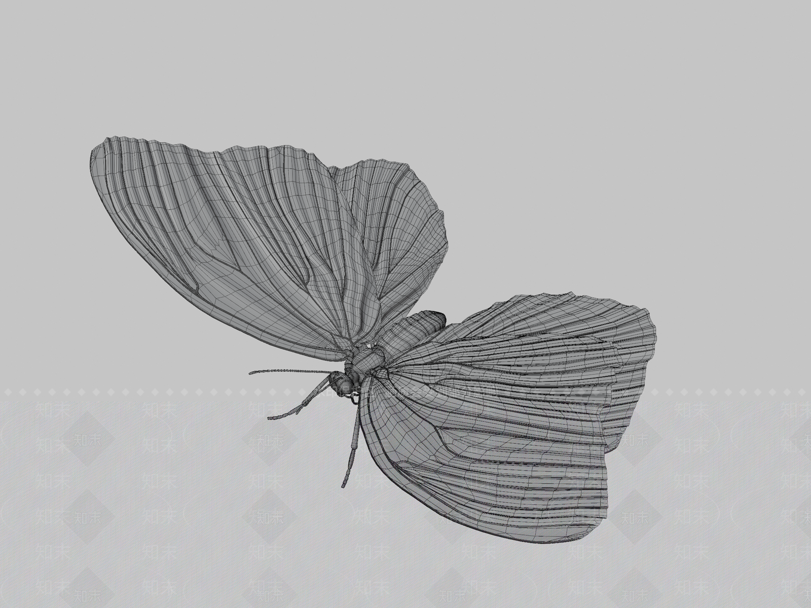 其他动物3D模型下载【ID:1196846223】