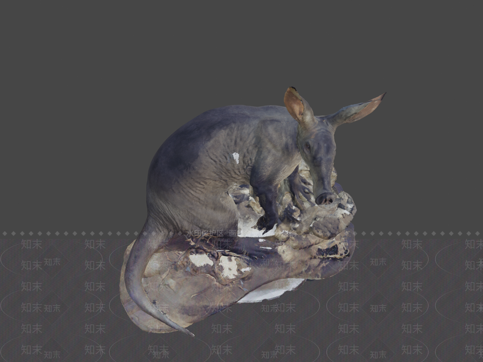 其他动物3D模型下载【ID:1196846707】