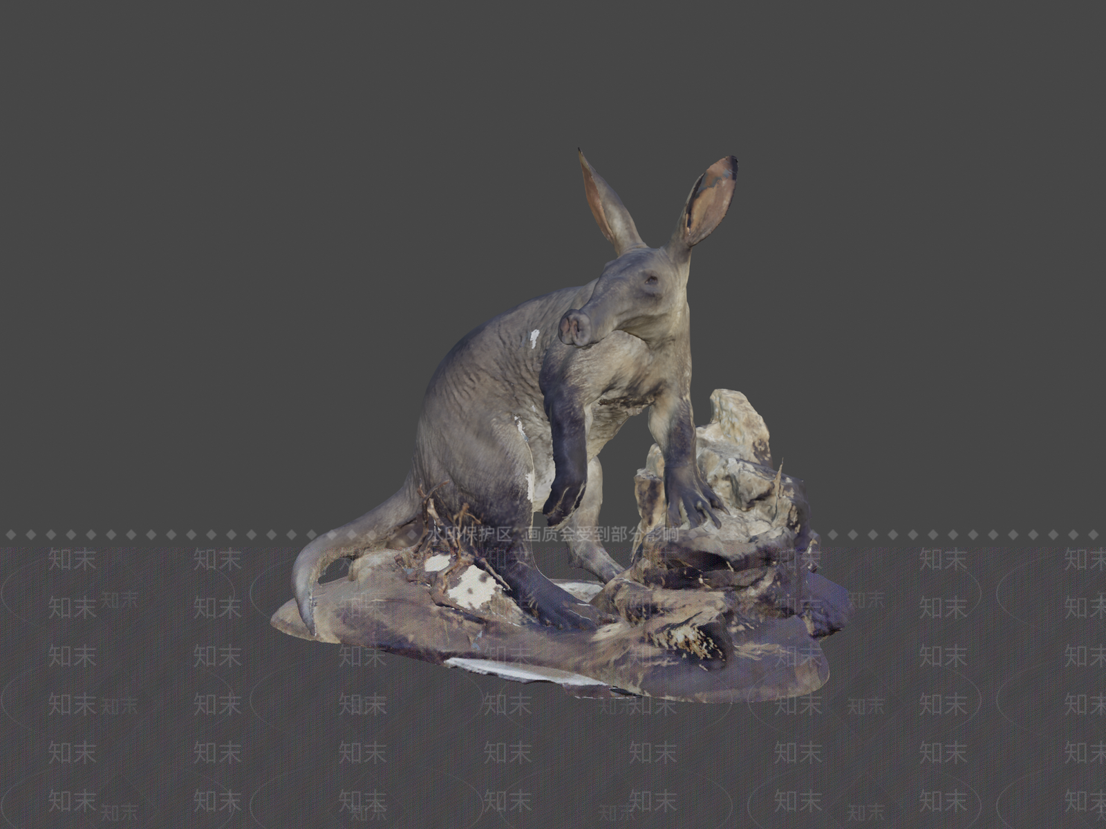 其他动物3D模型下载【ID:1196846707】