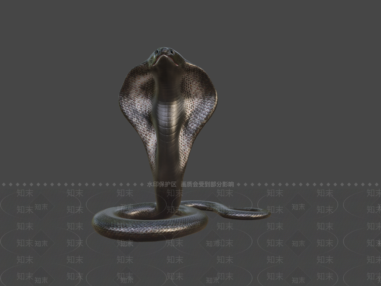 虚拟人物3D模型下载【ID:1196847379】