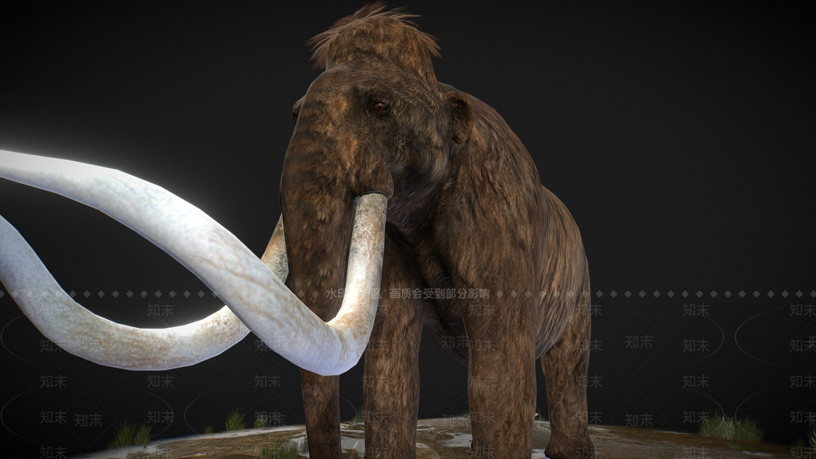其他动物3D模型下载【ID:1196848623】