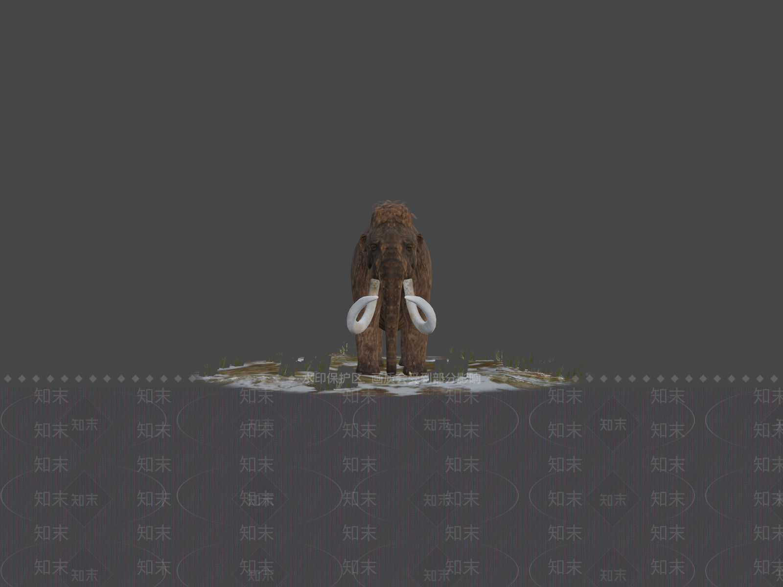 其他动物3D模型下载【ID:1196848623】