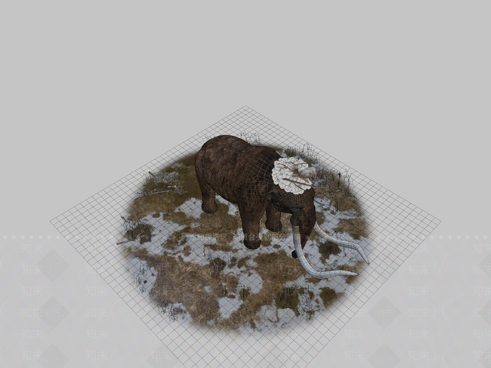其他动物3D模型下载【ID:1196848623】