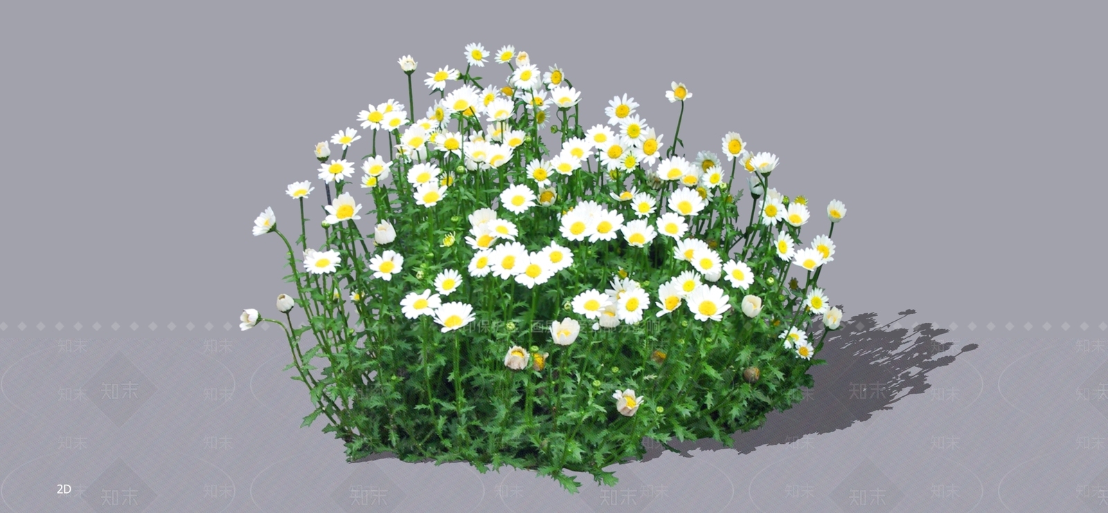 花草SU模型下载【ID:1196850359】