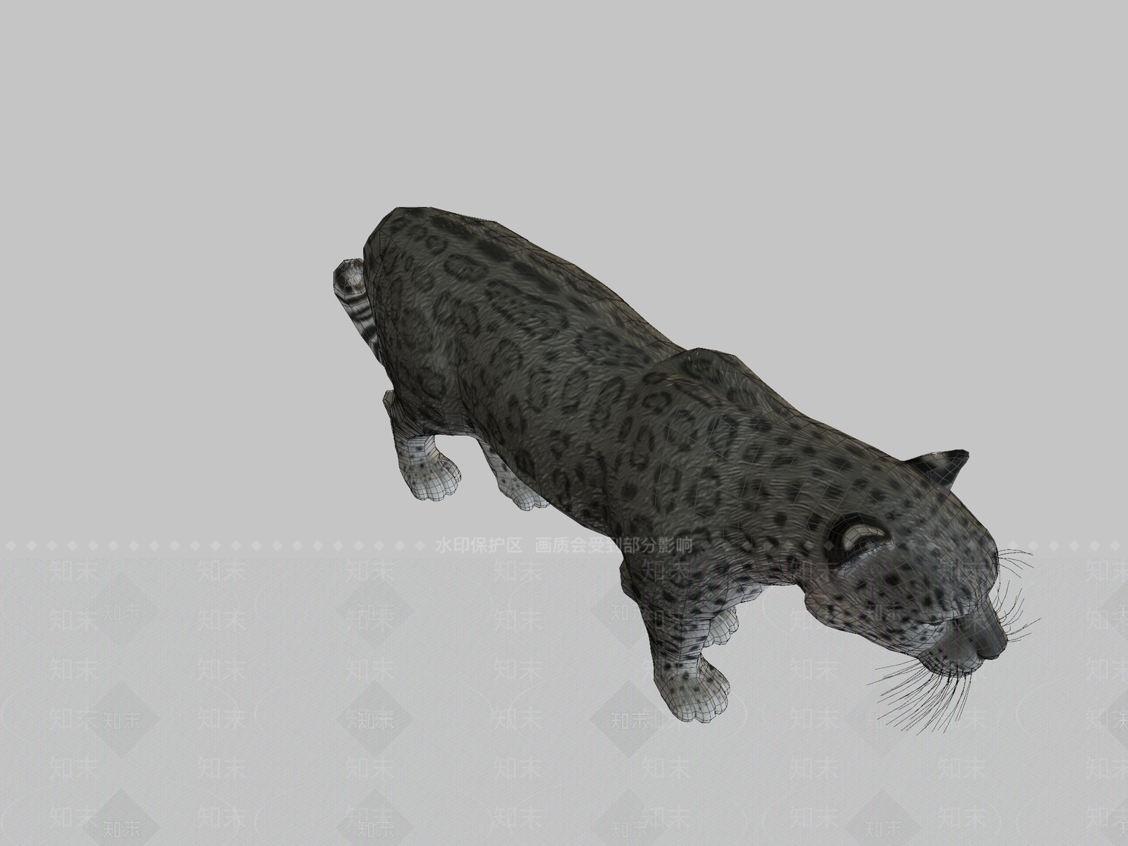 其他动物3D模型下载【ID:1196865500】