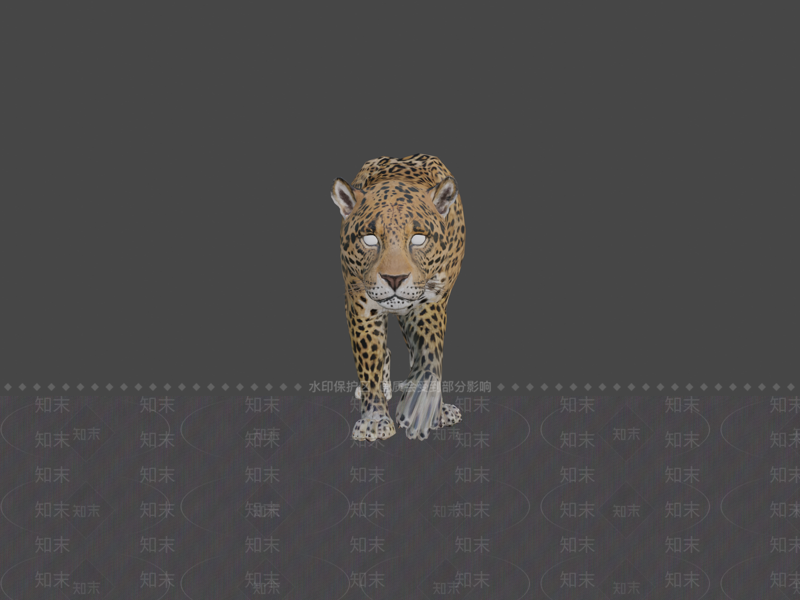 其他动物3D模型下载【ID:1196865870】