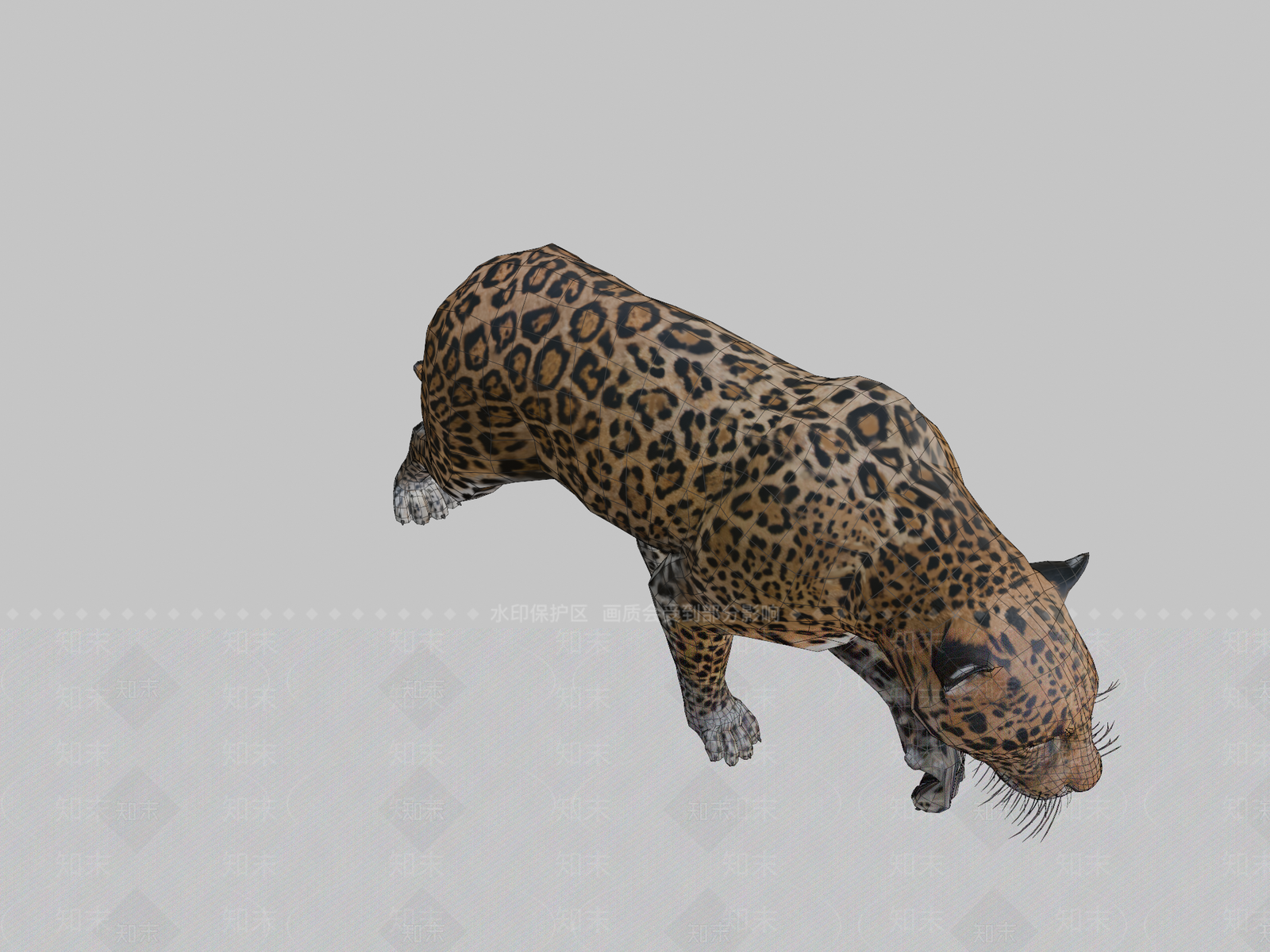 其他动物3D模型下载【ID:1196865870】