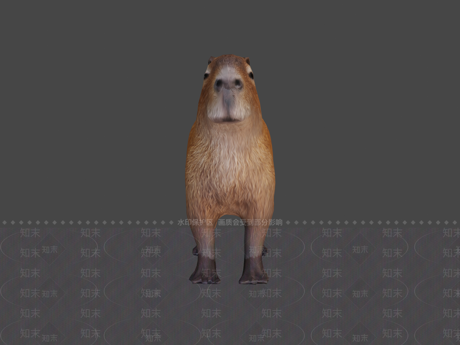 虚拟人物3D模型下载【ID:1196867793】