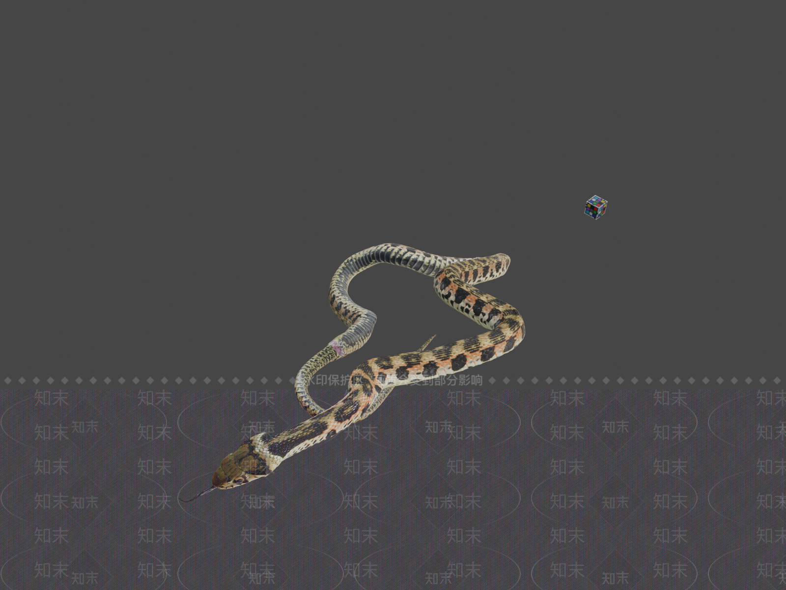 其他动物3D模型下载【ID:1196868093】