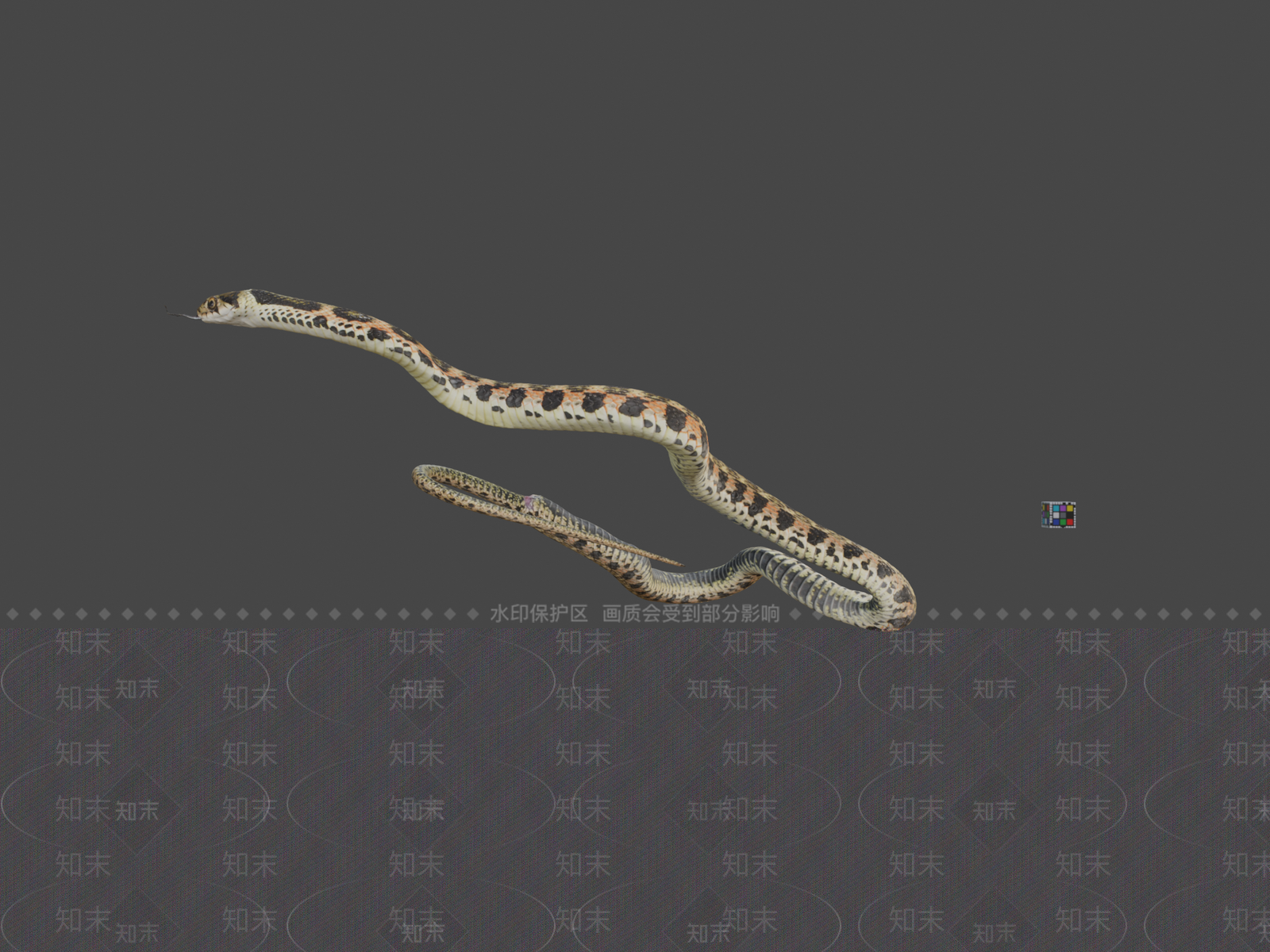 其他动物3D模型下载【ID:1196868093】