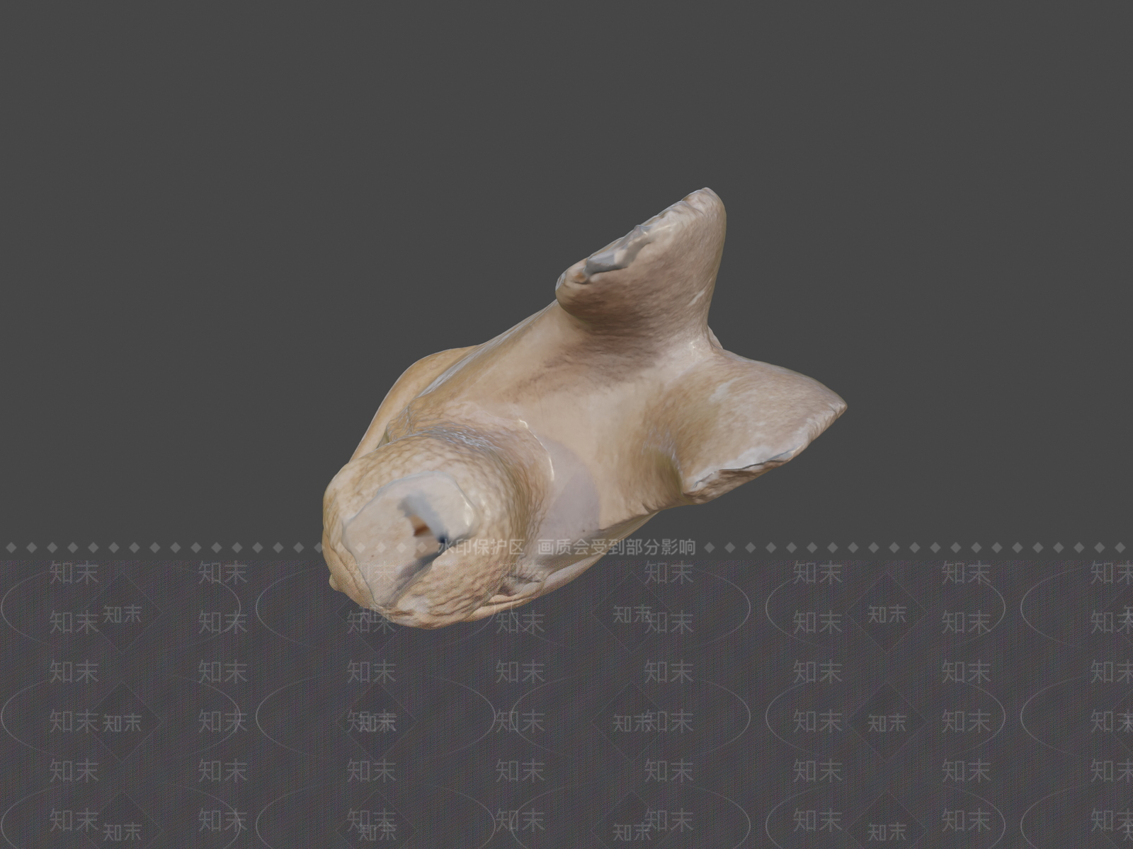 虚拟人物3D模型下载【ID:1196871855】