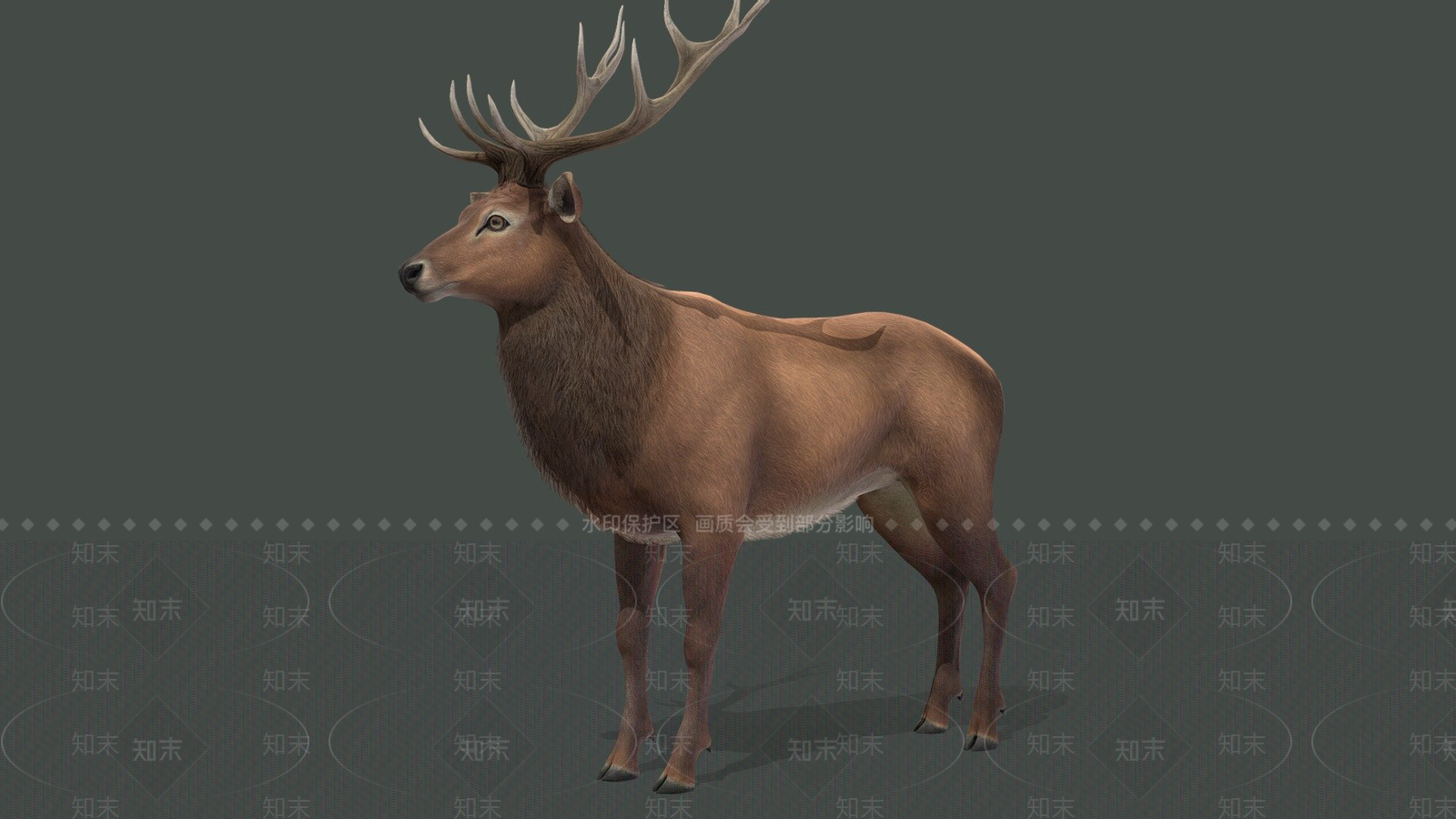 虚拟人物3D模型下载【ID:1196872370】