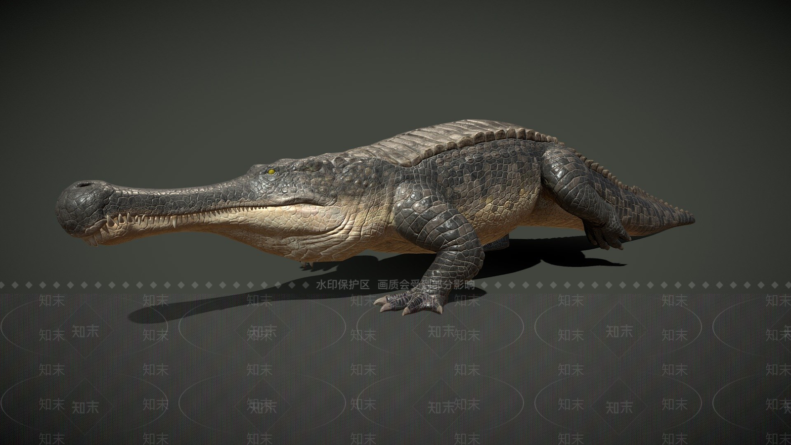 其他动物鳄鱼3D模型下载【ID:1196875104】