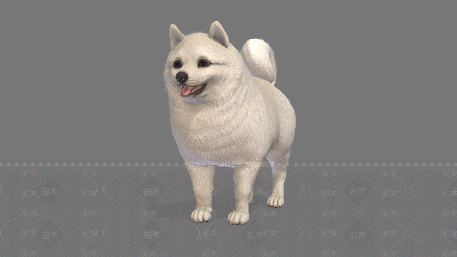 其他动物3D模型下载【ID:1196876011】
