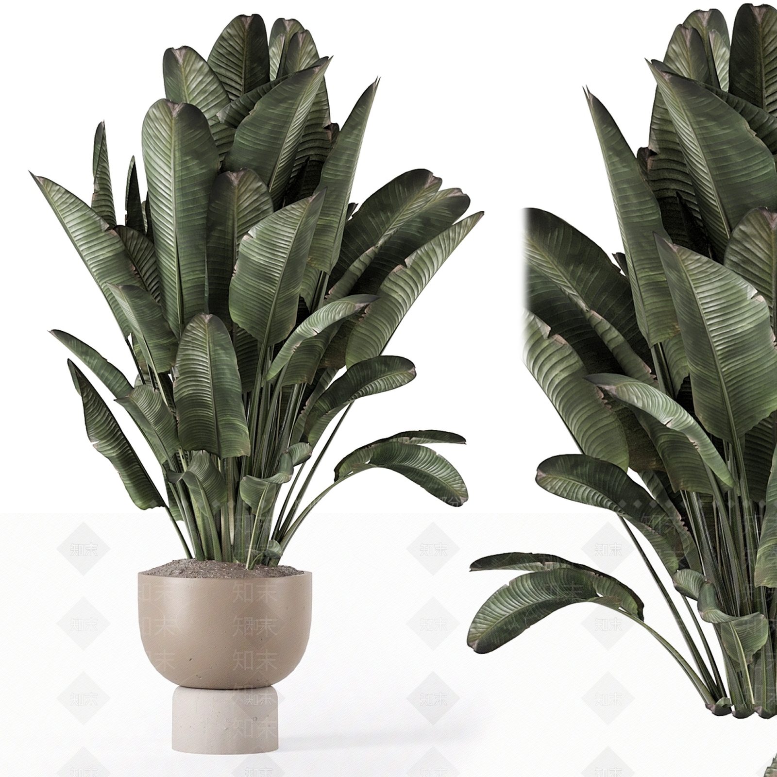 盆栽3D模型下载【ID:1196877072】