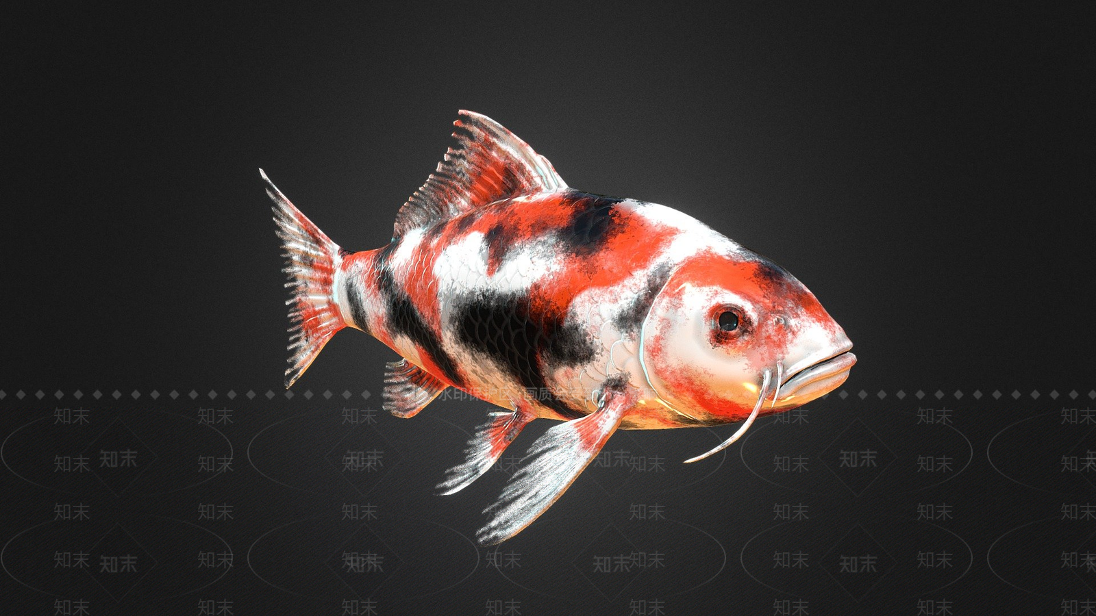 水生类动物3D模型下载【ID:1196878785】
